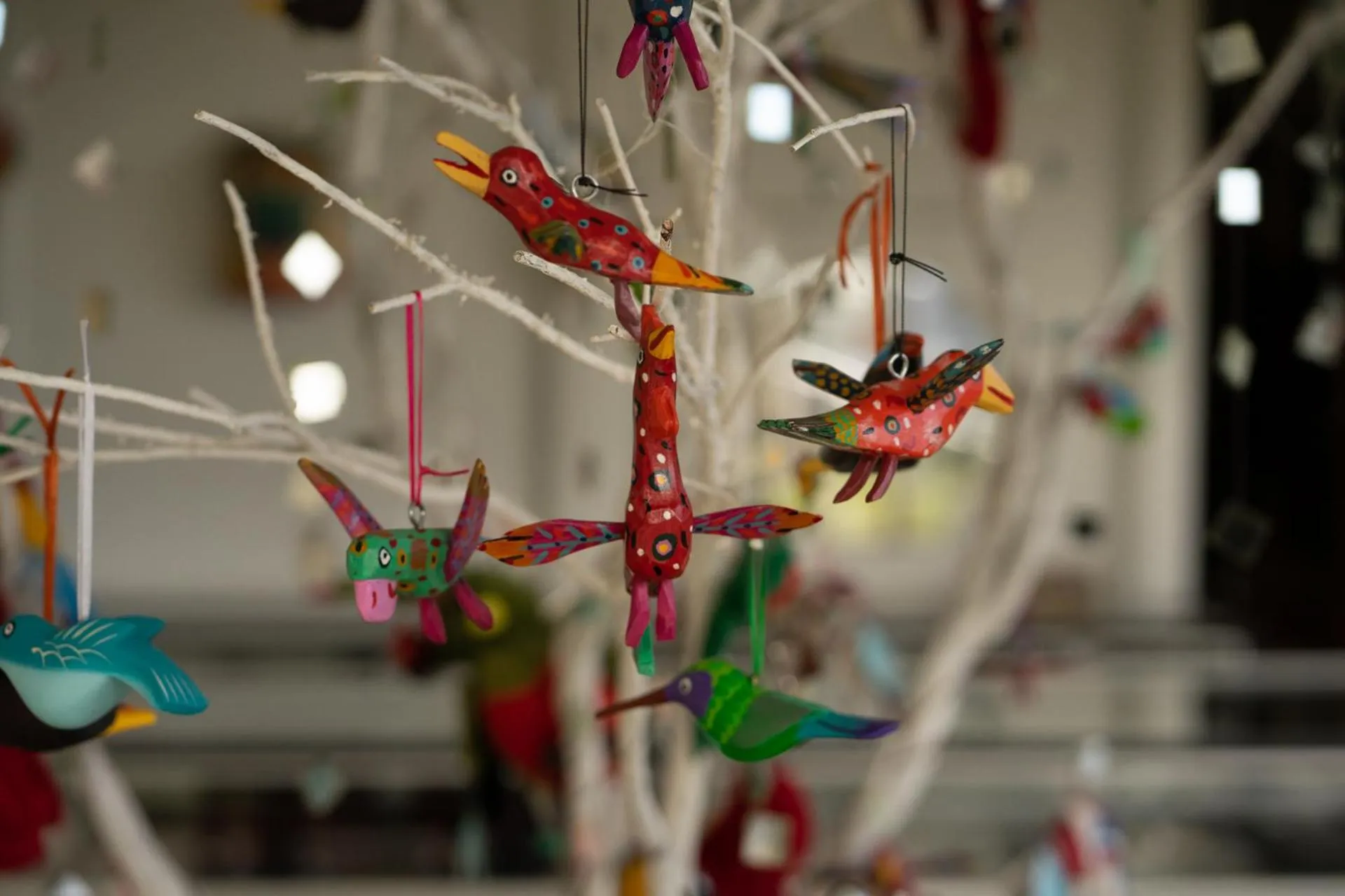 Property building in Dantica Cloud Forest Lodge