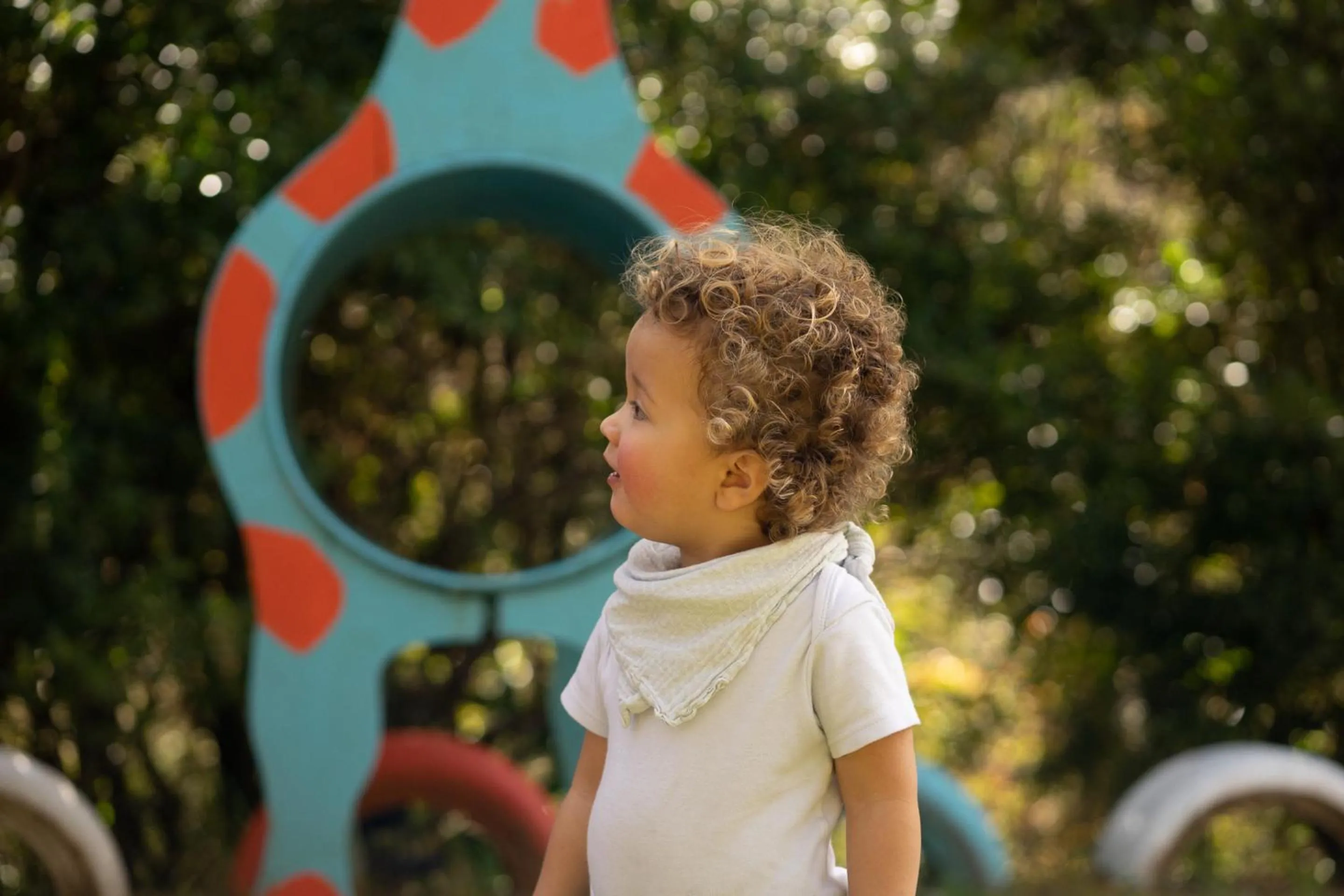 Children play ground in Dantica Cloud Forest Lodge