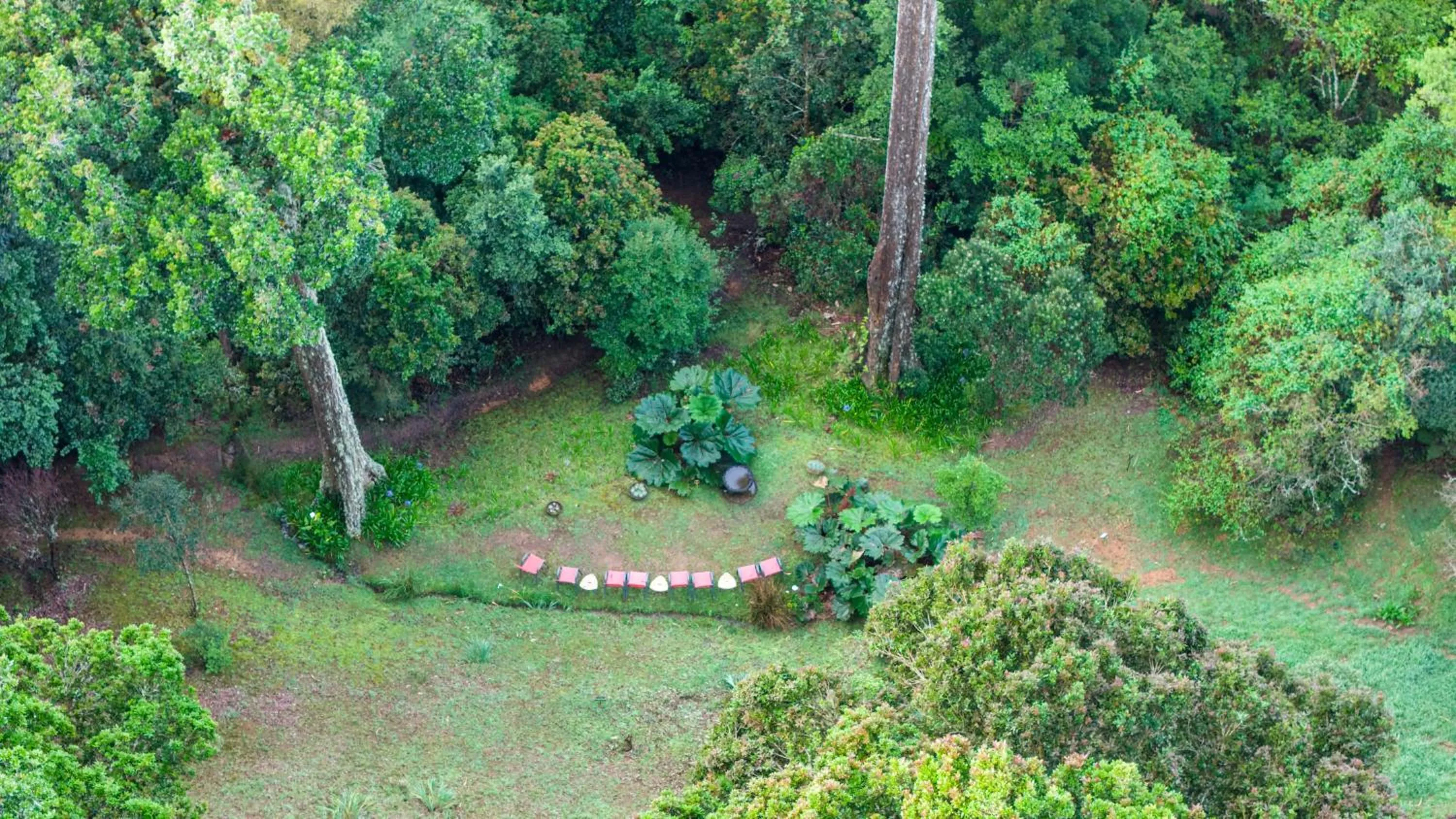 Day in Dantica Cloud Forest Lodge
