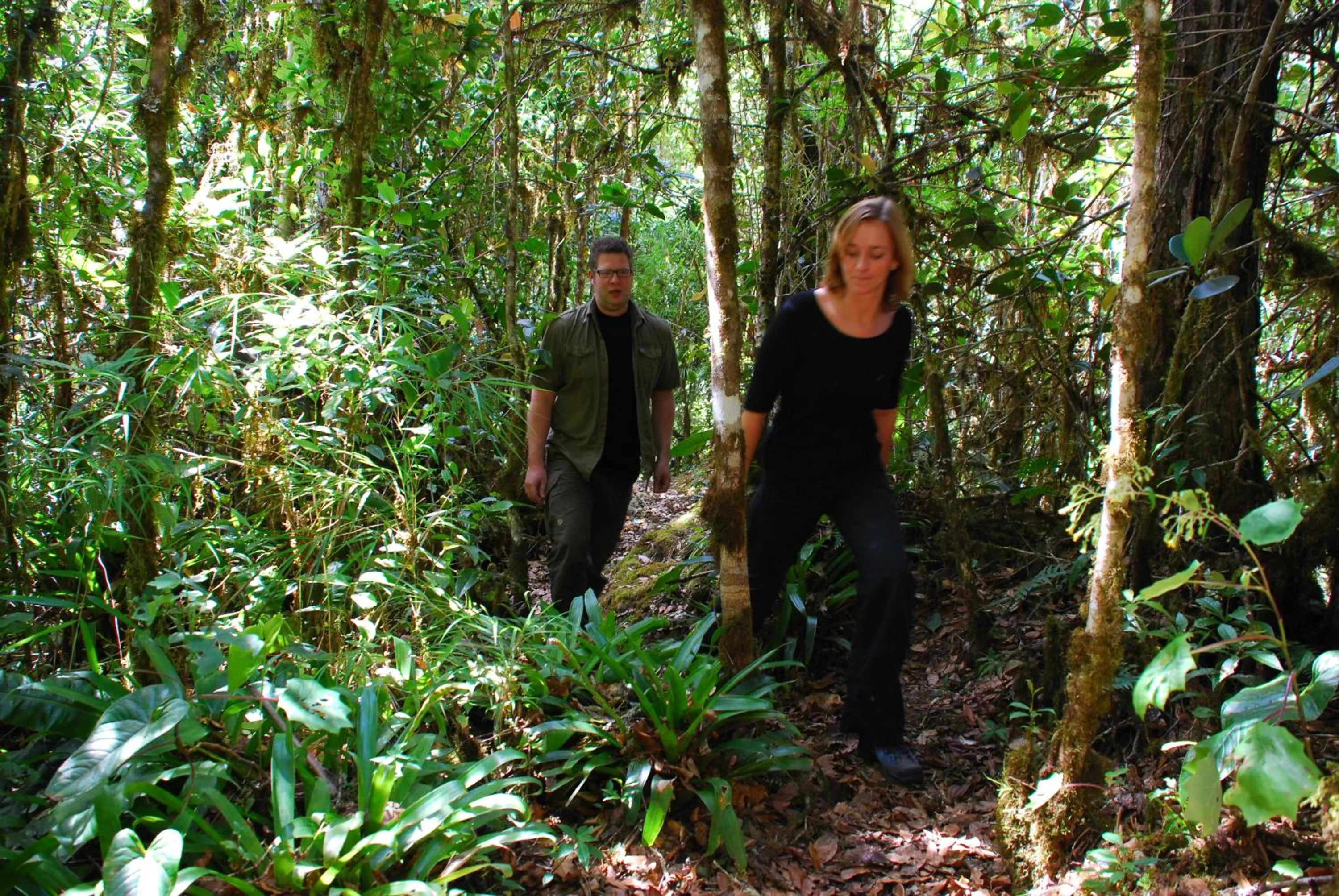 Activities in Dantica Cloud Forest Lodge