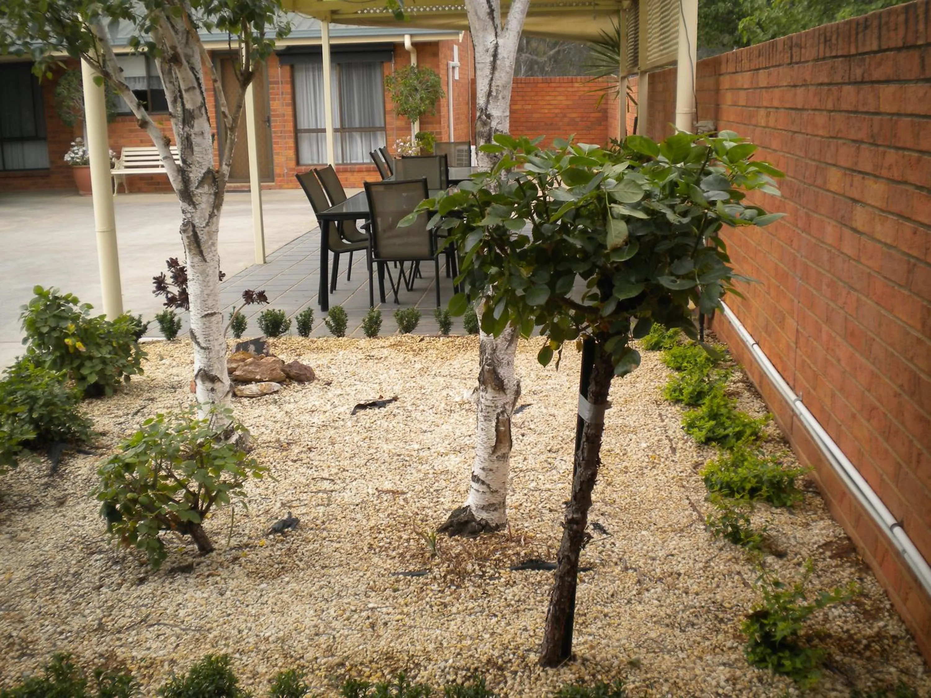 Facade/entrance in Moama Central Motel