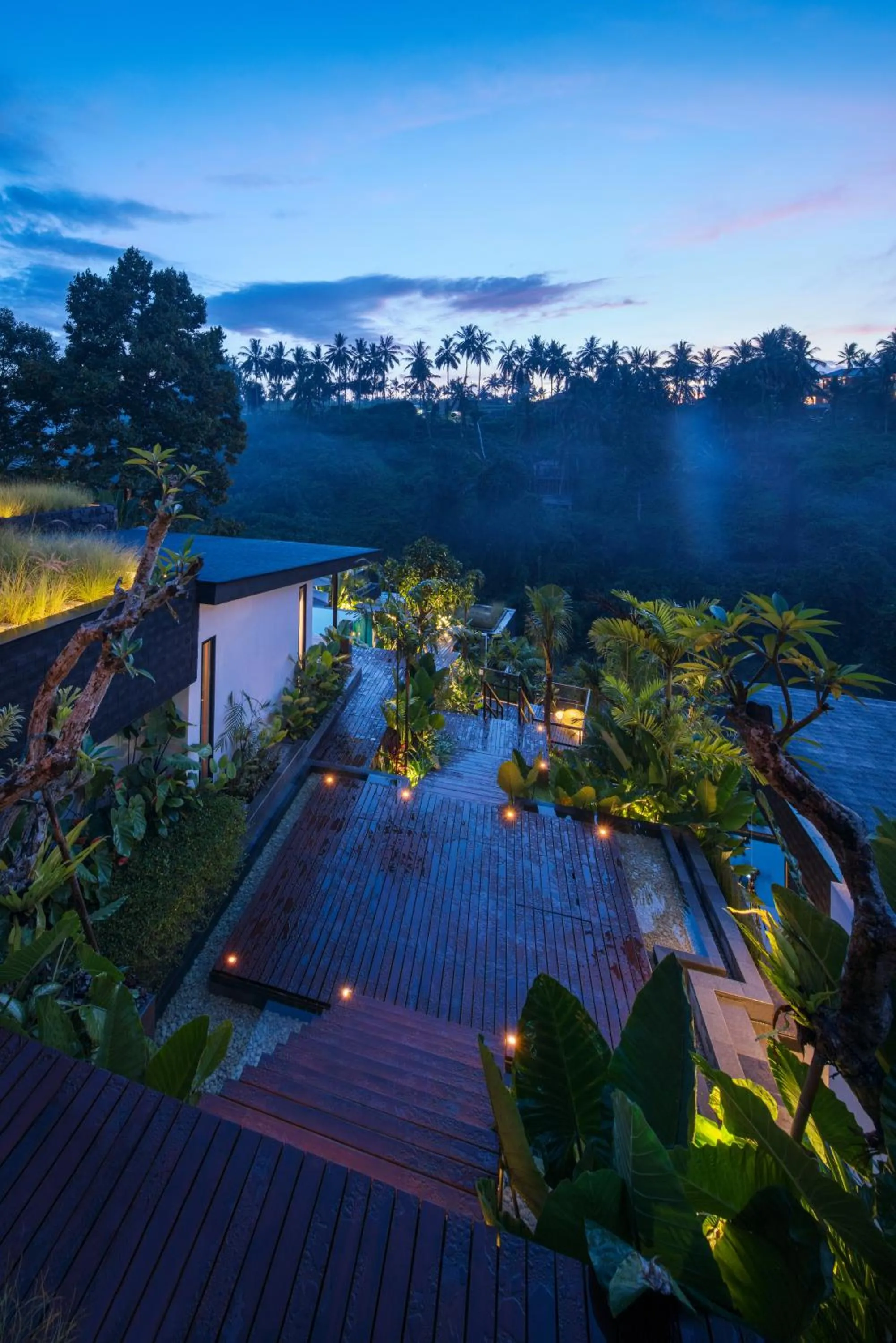 Garden view in Zenubud