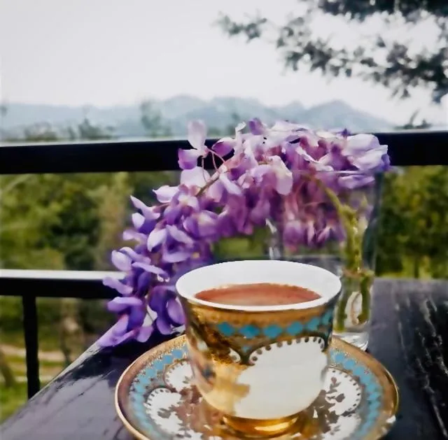 Restaurant/places to eat in Antalya Bodrum Kayası Dağ Oteli