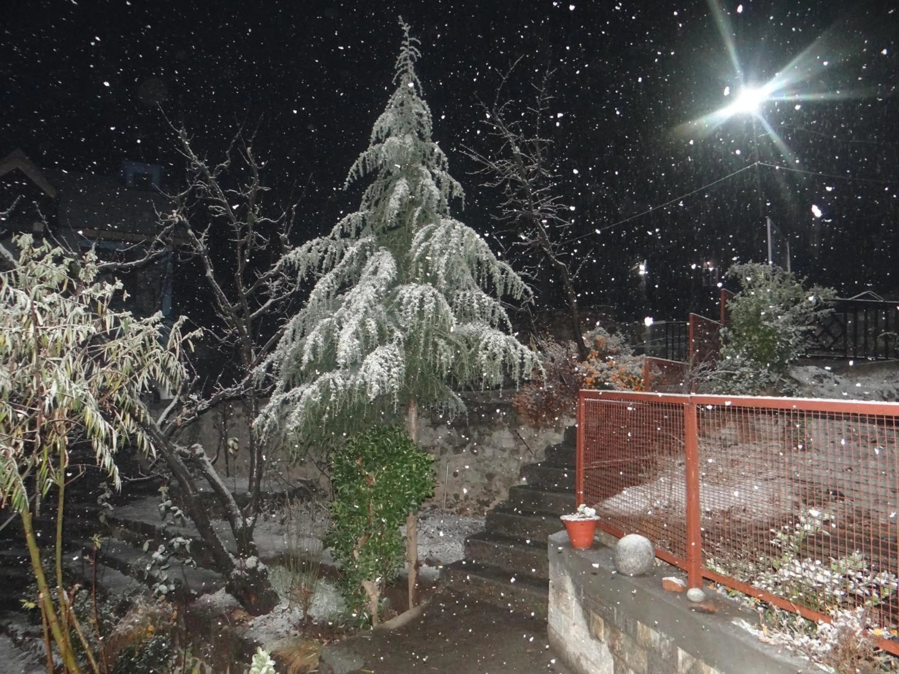 Winter in Hotel Mountain Trail Manali