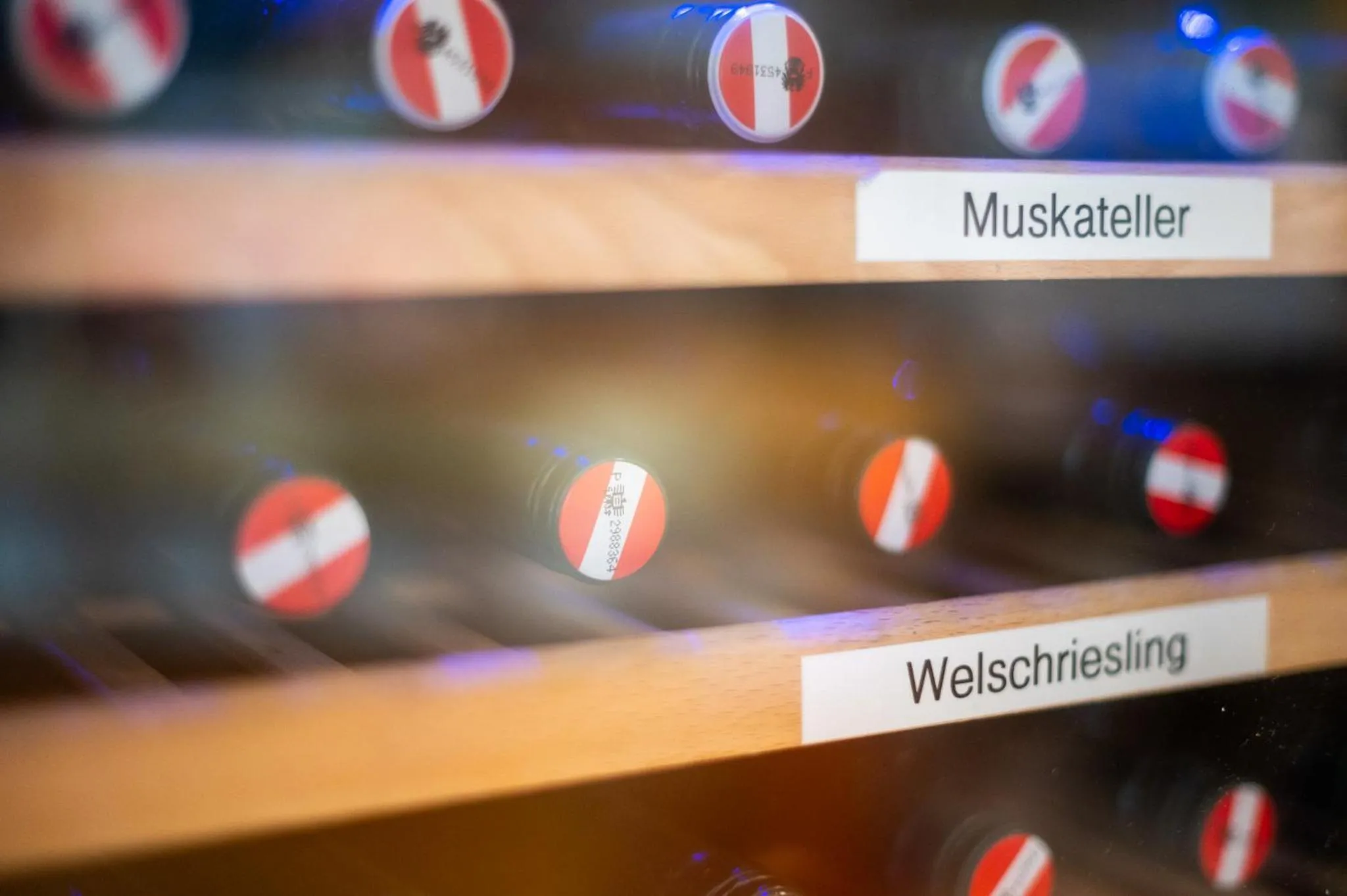 Restaurant/places to eat in Hotel Alter Telegraf