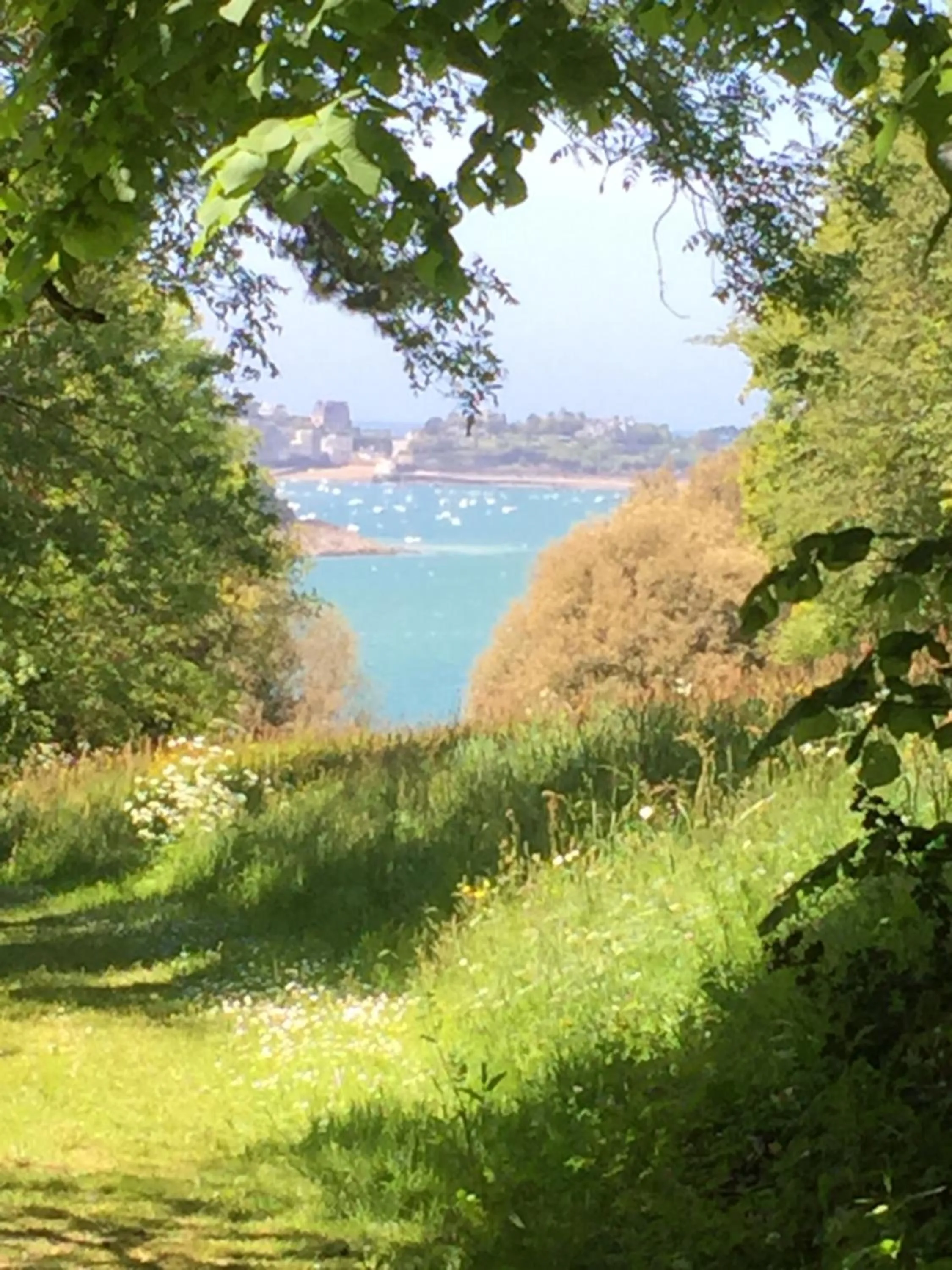 Natural landscape in Au Bon Accueil