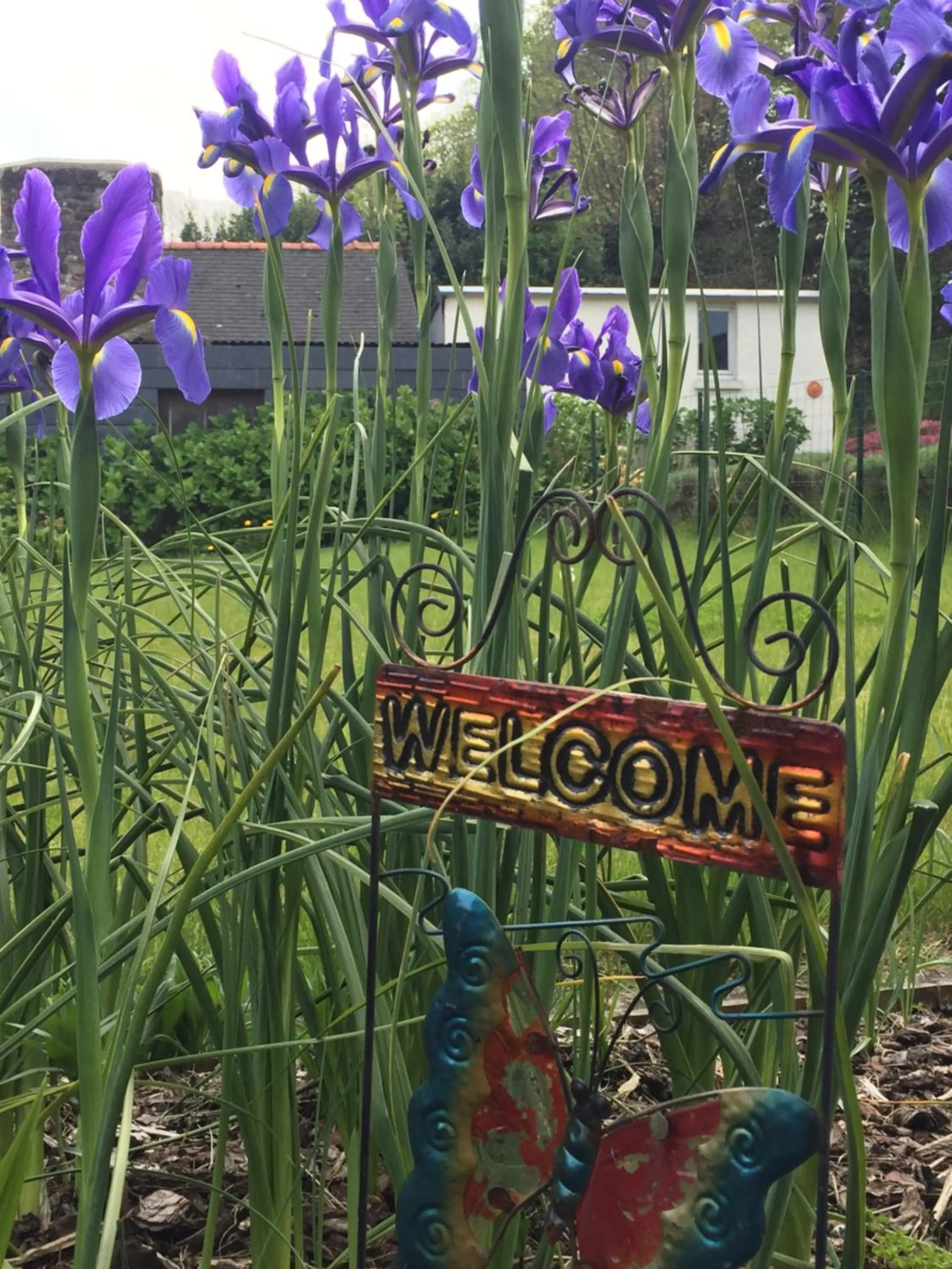 Garden view in Au Bon Accueil