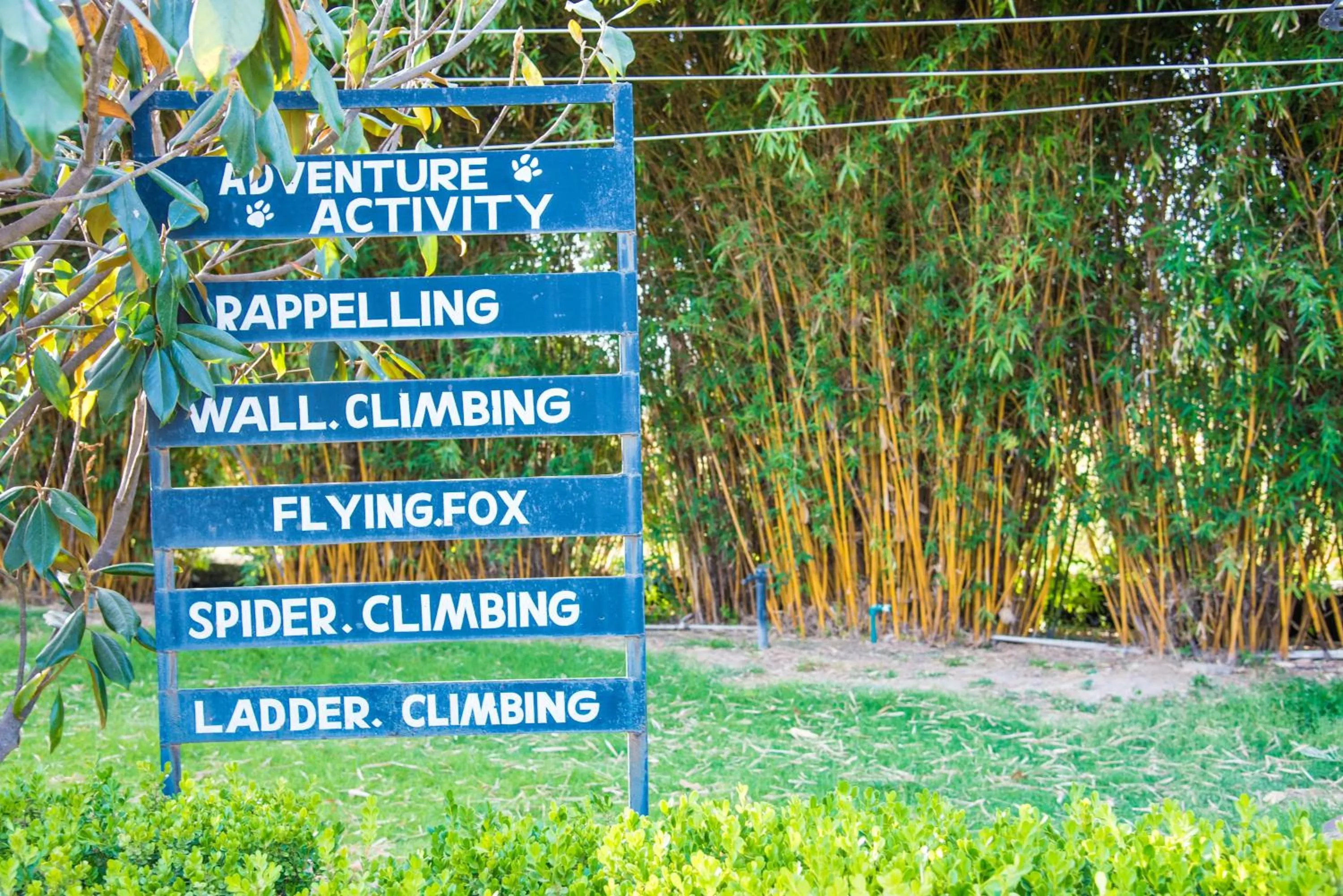 Activities in The Golden Tusk By Ivory Destinations