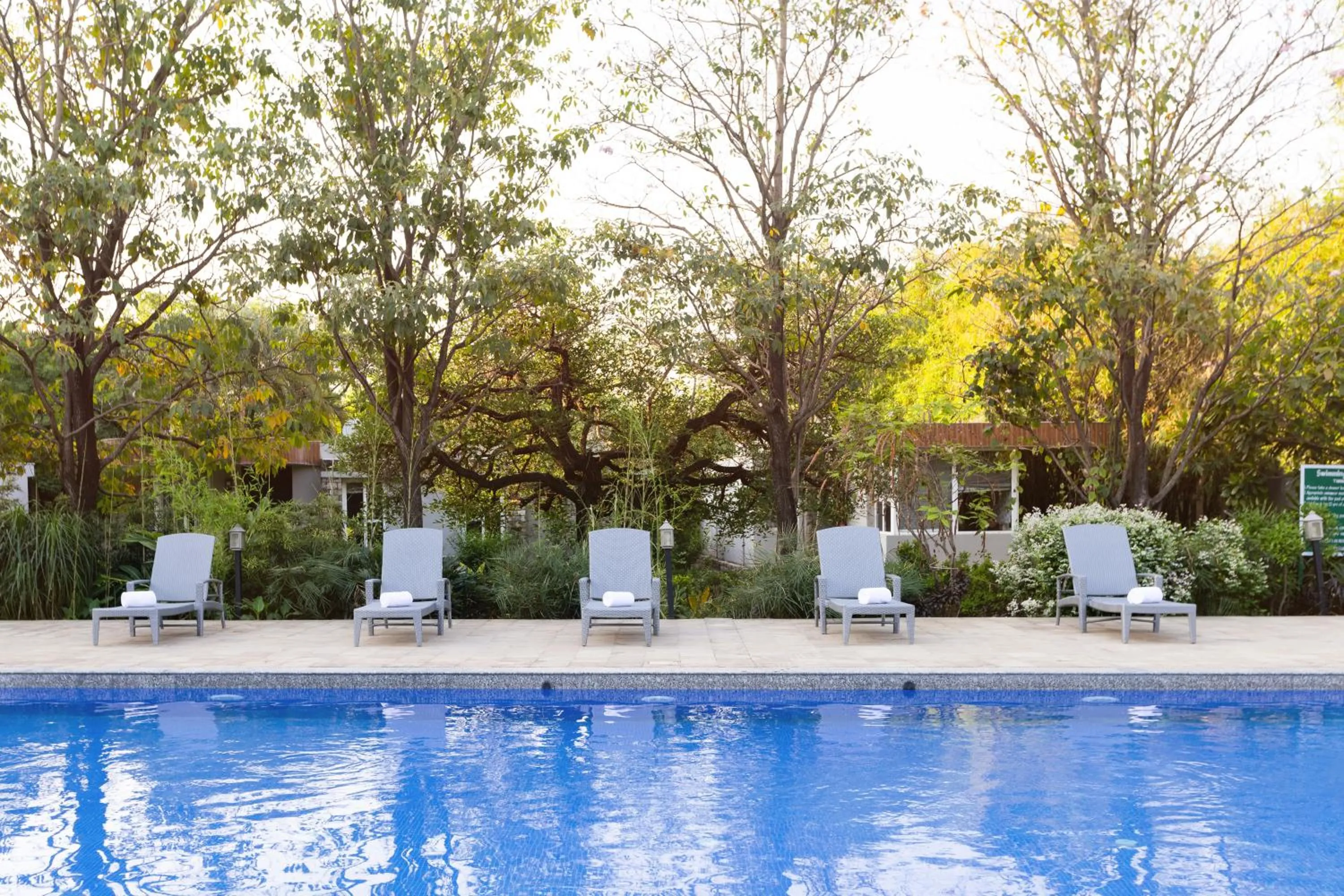 The Golden Tusk By Ivory Destinations