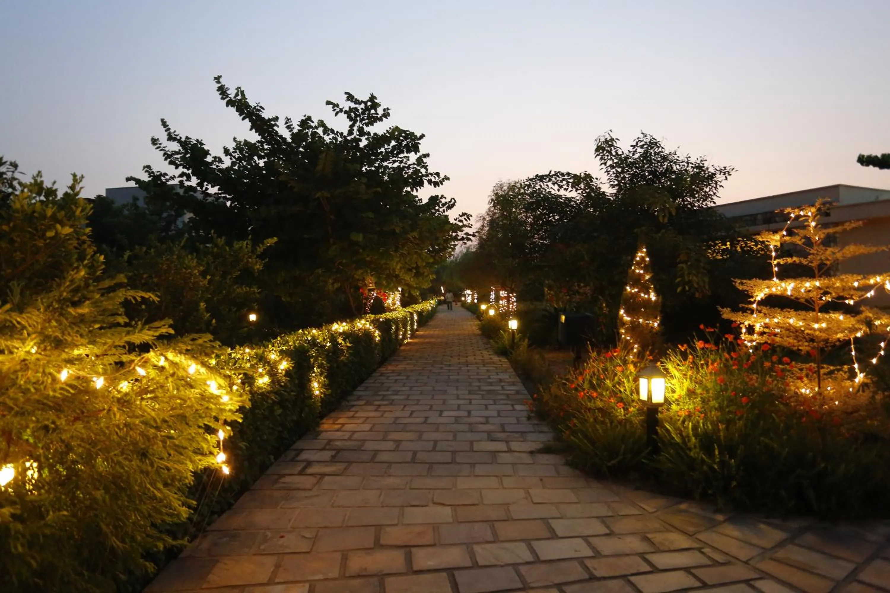 wedding in The Golden Tusk By Ivory Destinations