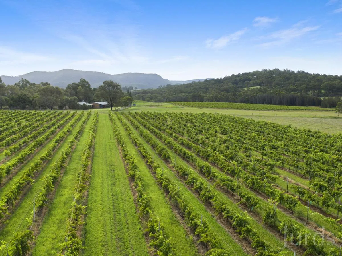 Day in Pokolbin Farm Stay