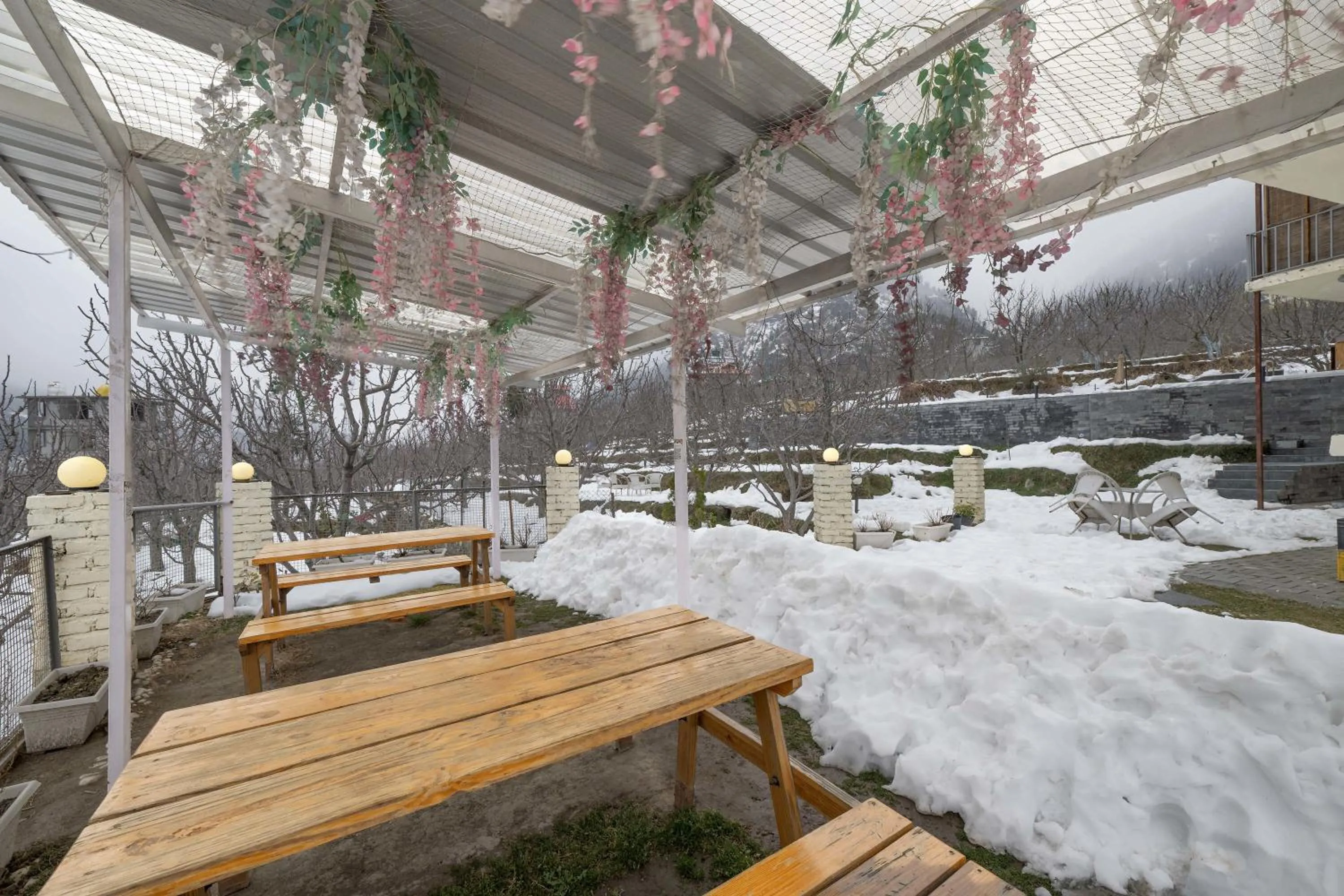 Winter in Echor Himalayan Aurum Manali