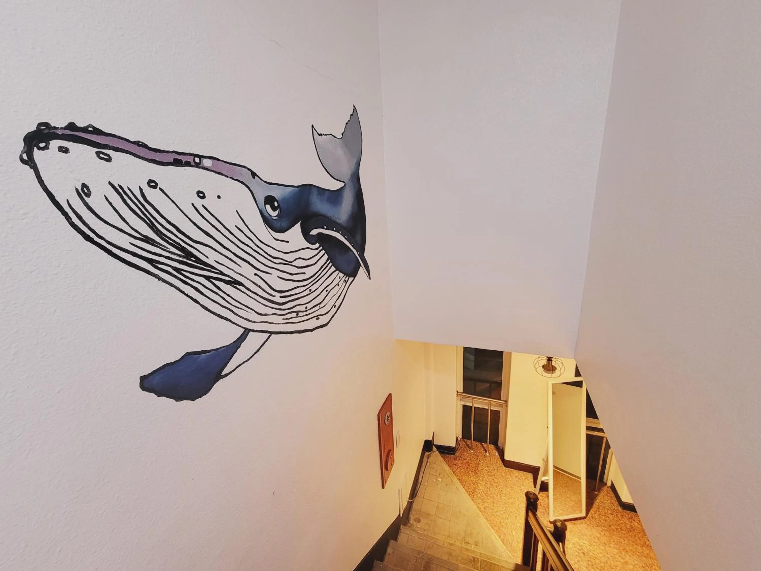 Area and facilities in Olive Hostel Dongdaemun