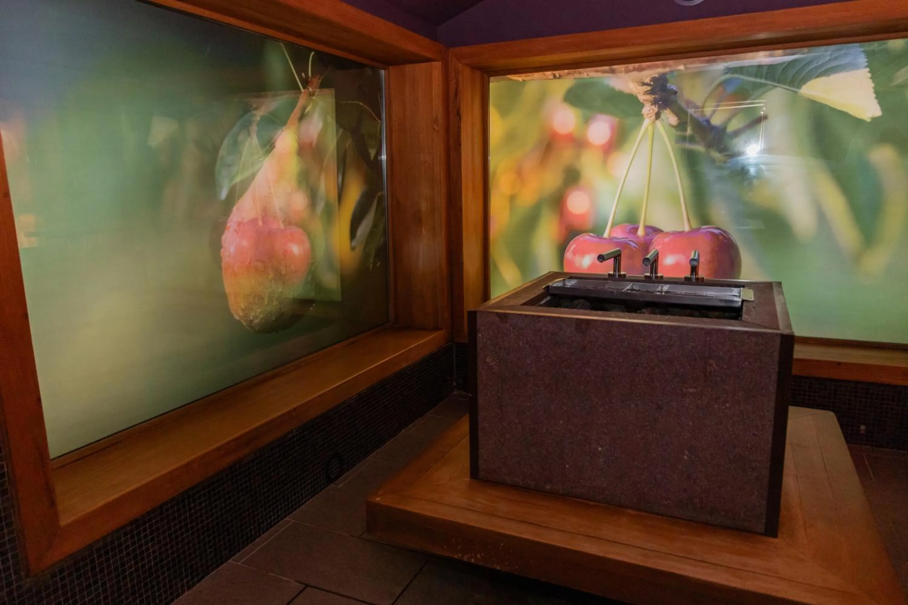 Sauna in Hotel Toplice - Terme Krka