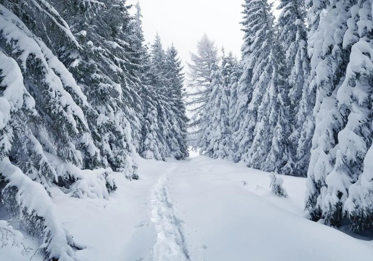 Winter in Residence Nube D'Argento