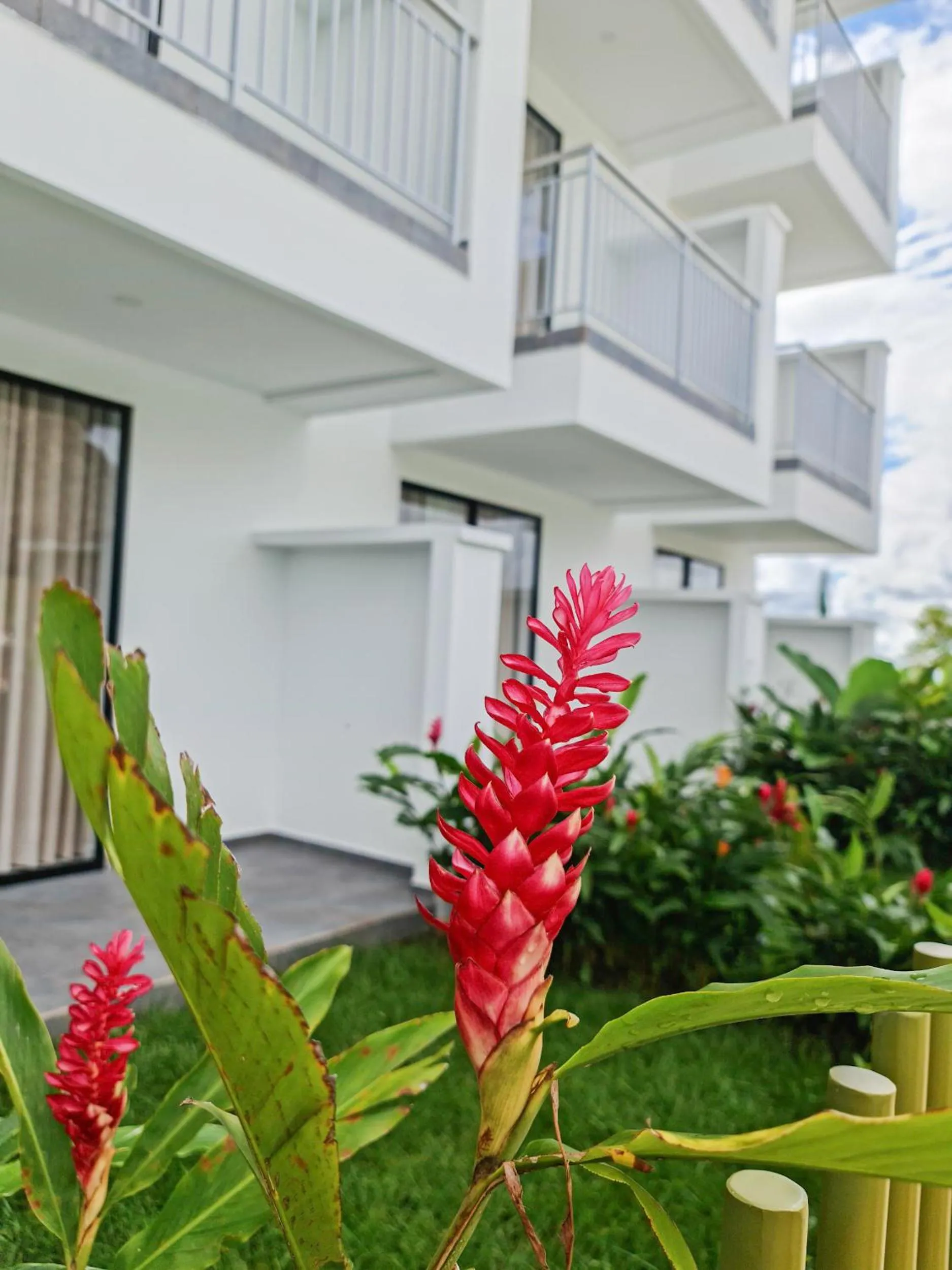 Off site in Hotel Arbóreo Doradal