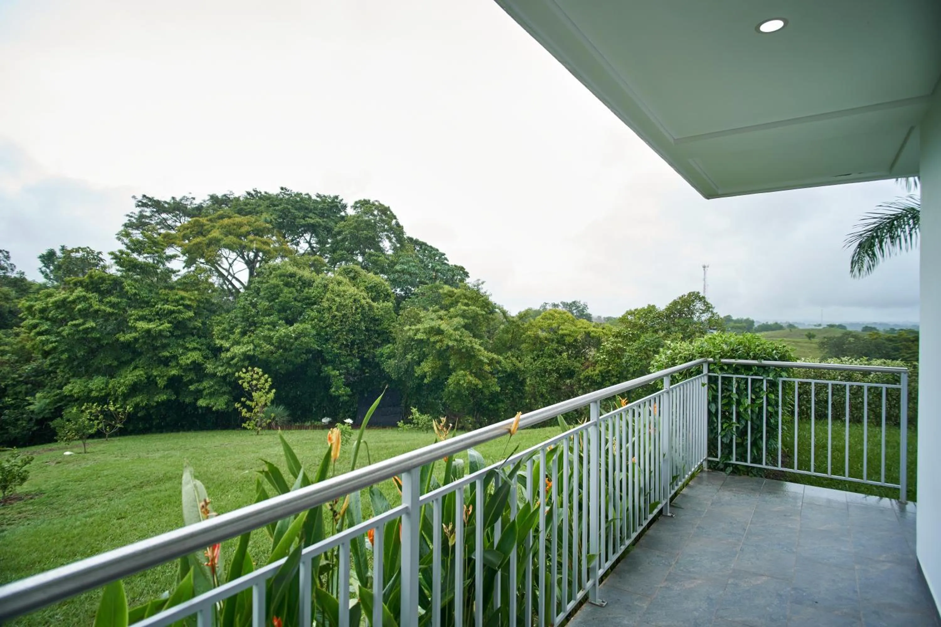 Balcony/Terrace in Hotel Arbóreo Doradal