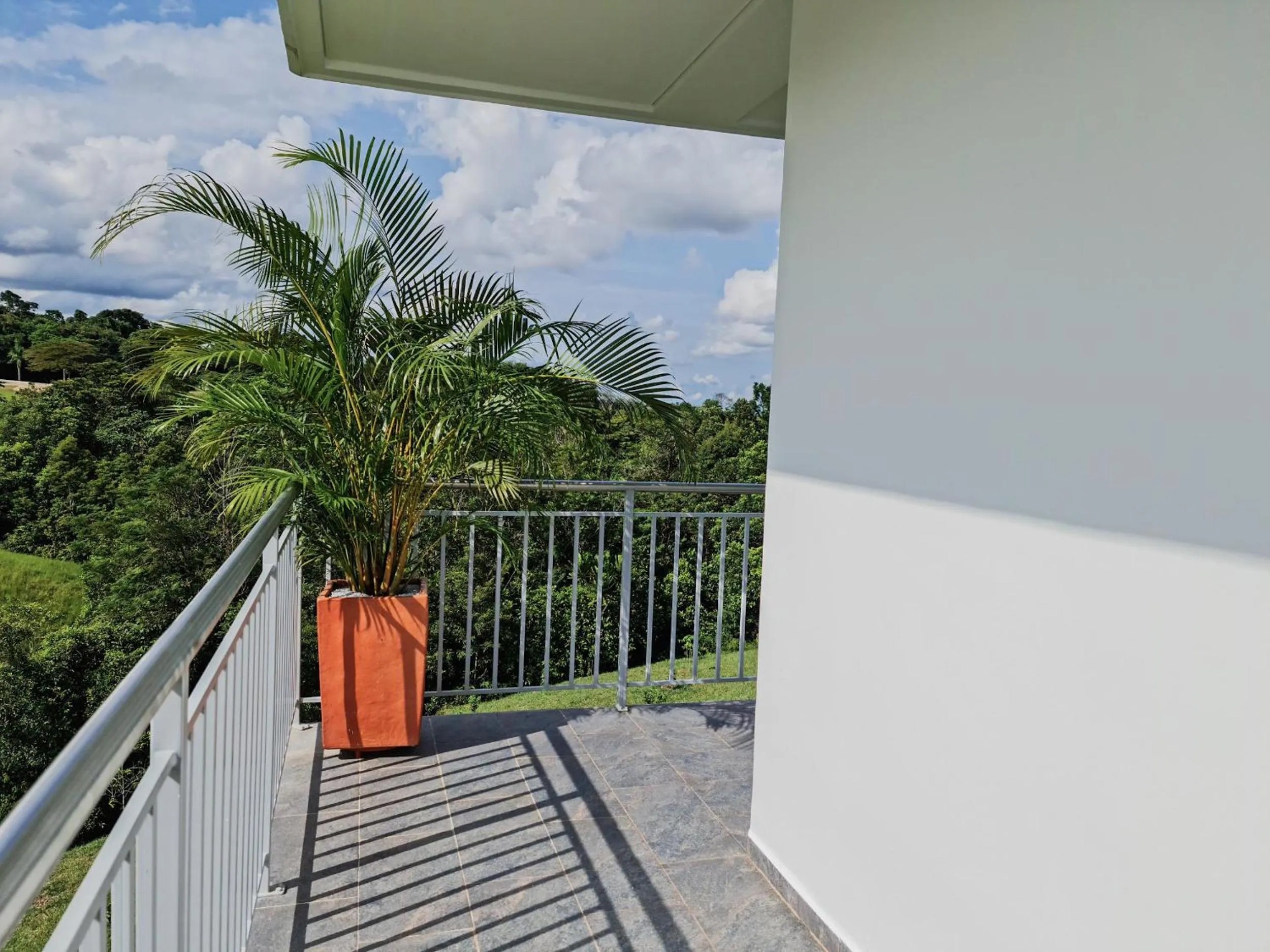 Balcony/Terrace in Hotel Arbóreo Doradal