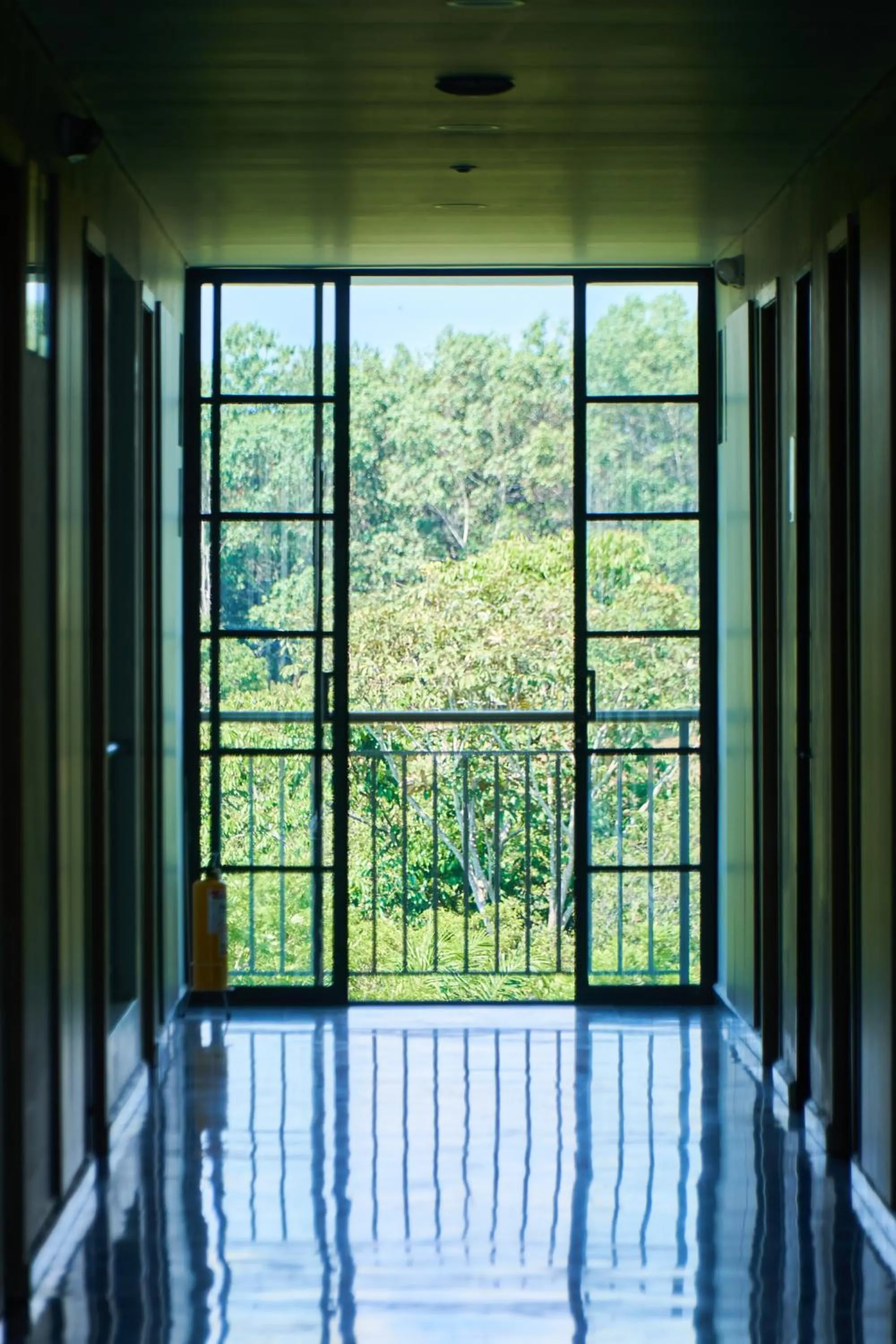 View (from property/room) in Hotel Arbóreo Doradal