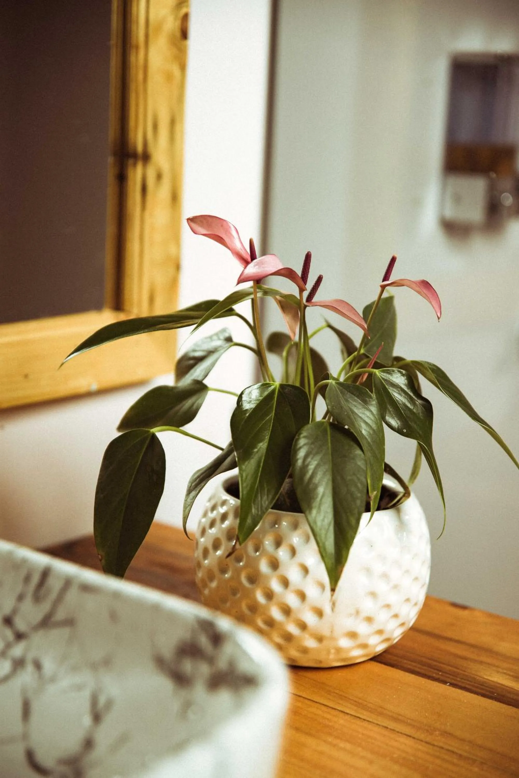 Bathroom in DucknChill-Agonda