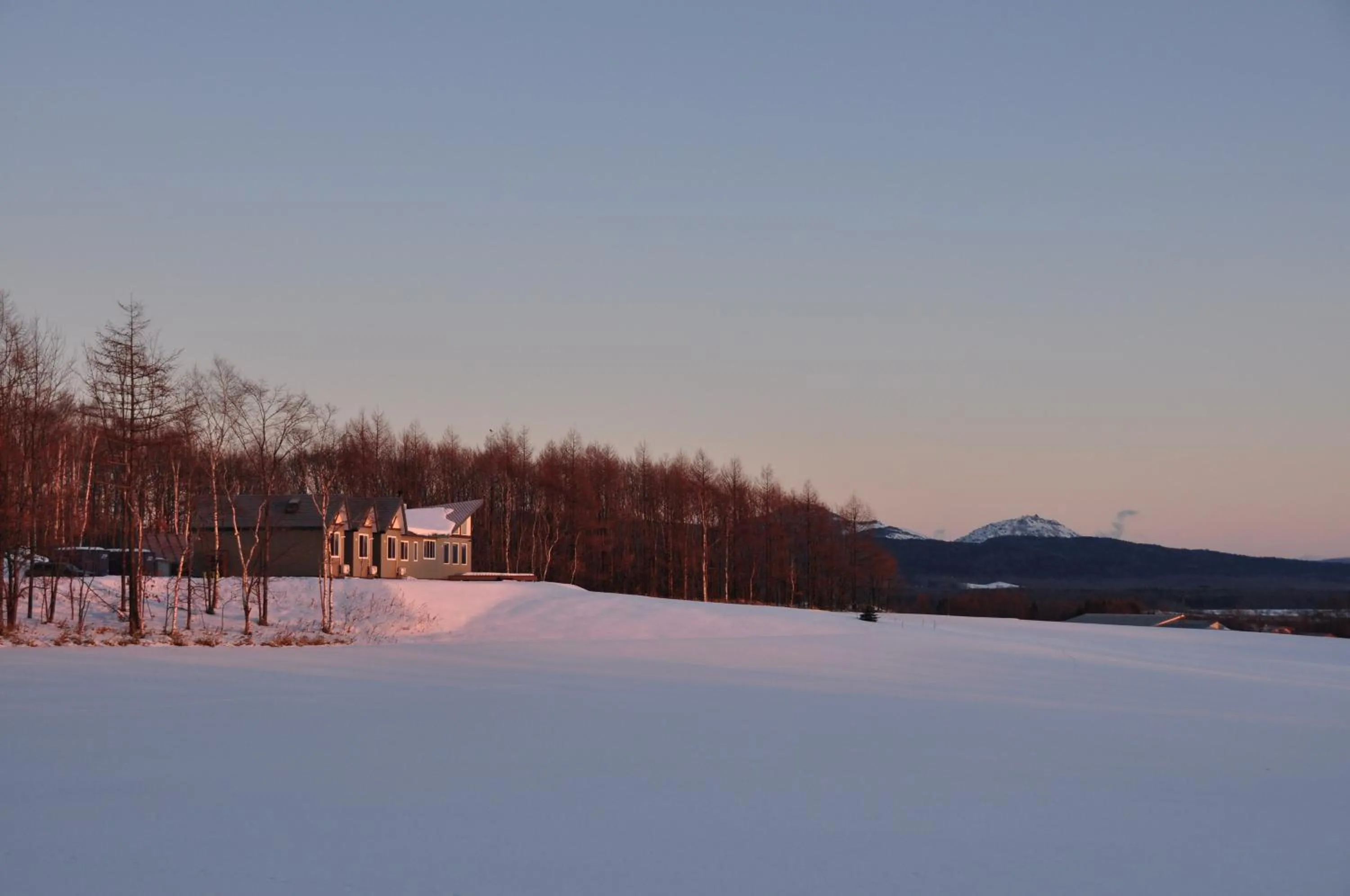 Property building in Polaris