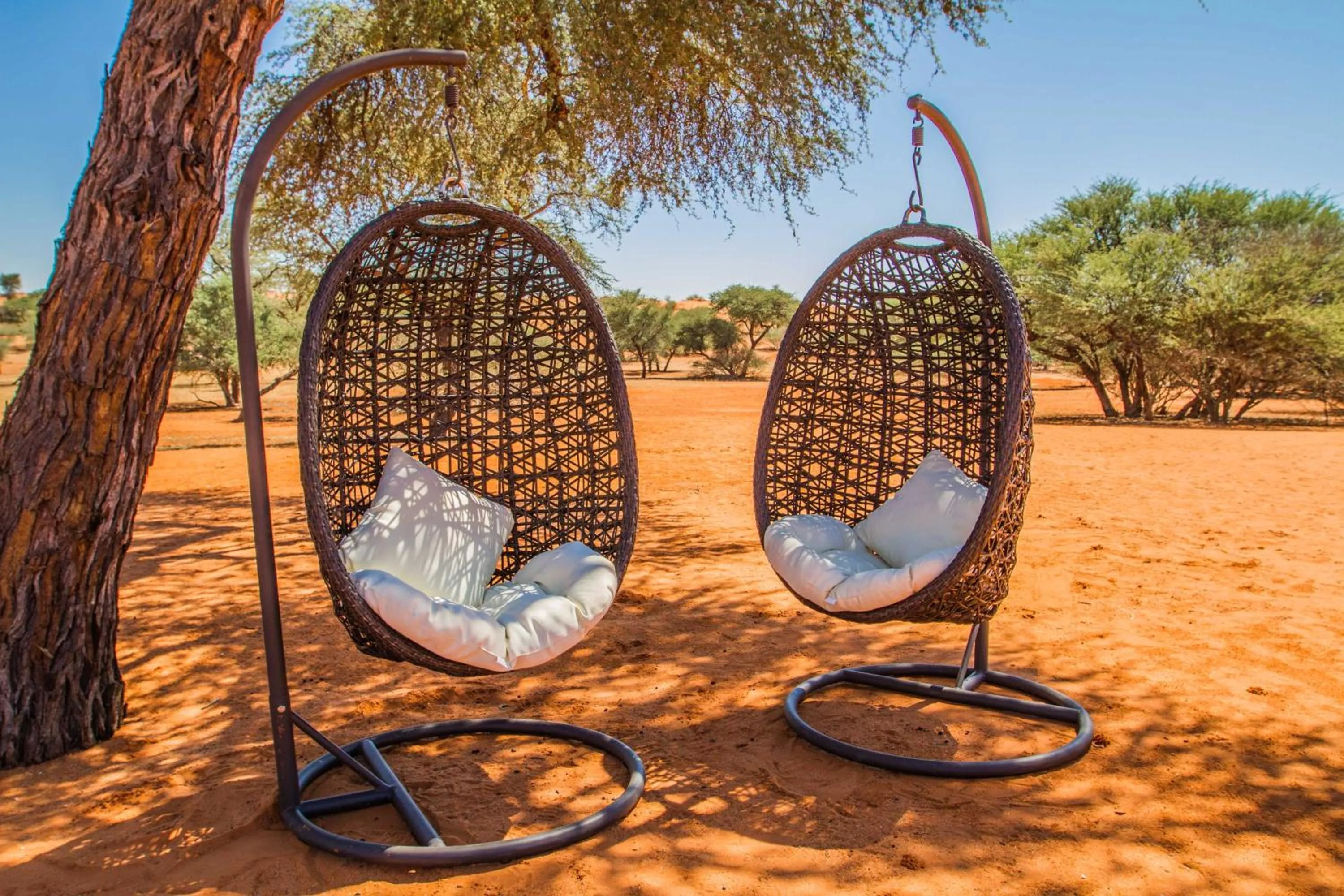 Day in Zebra Kalahari Lodge