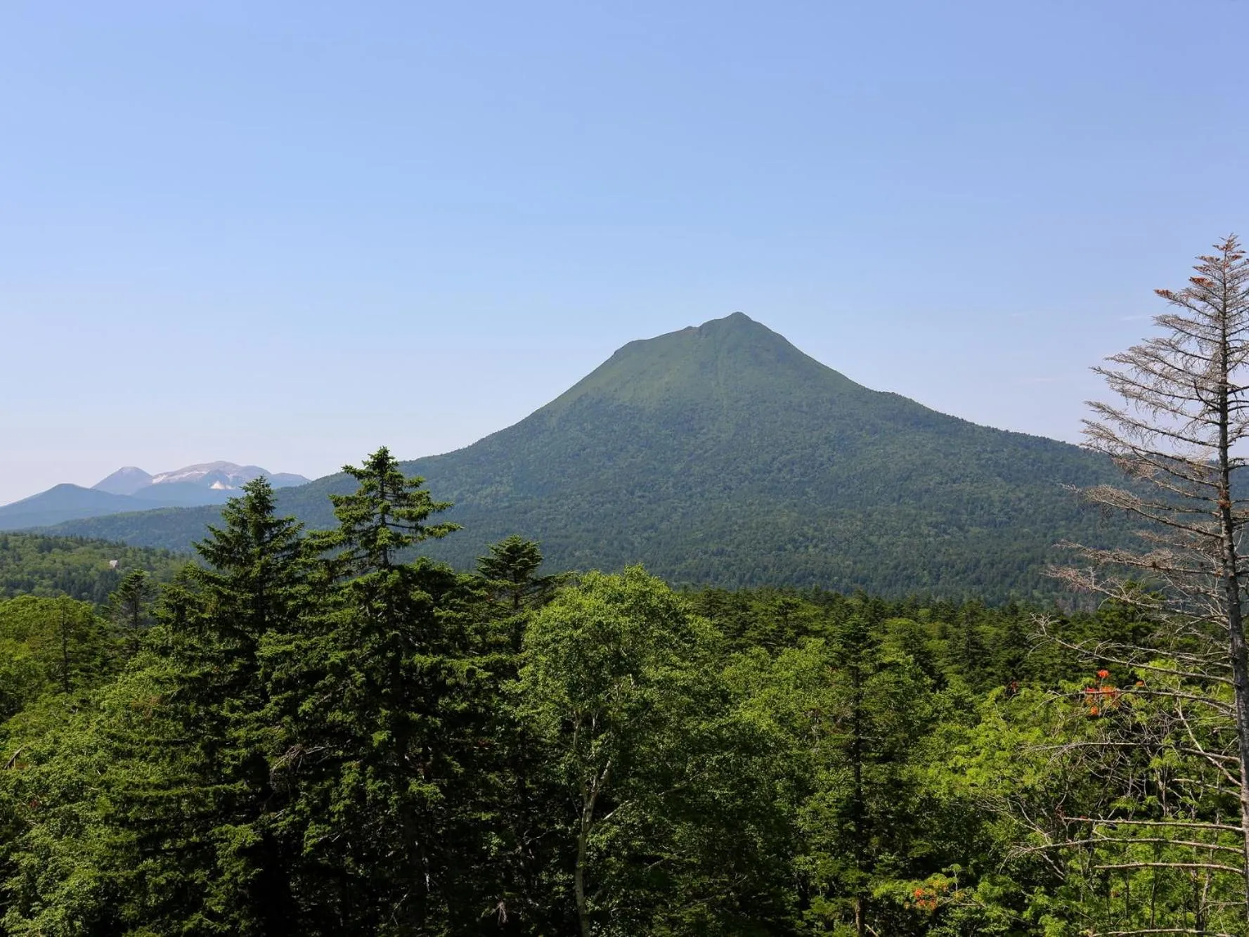 Off site in Hotel Parkway