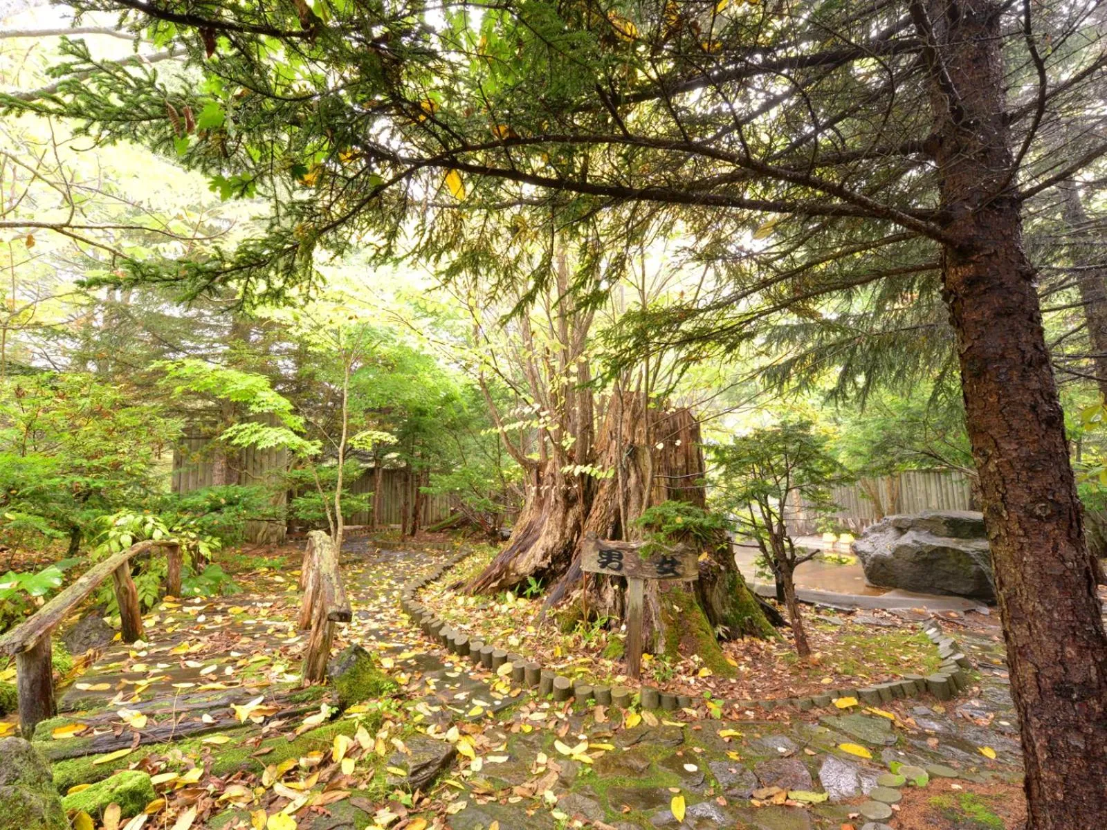 Open Air Bath in Hotel Parkway