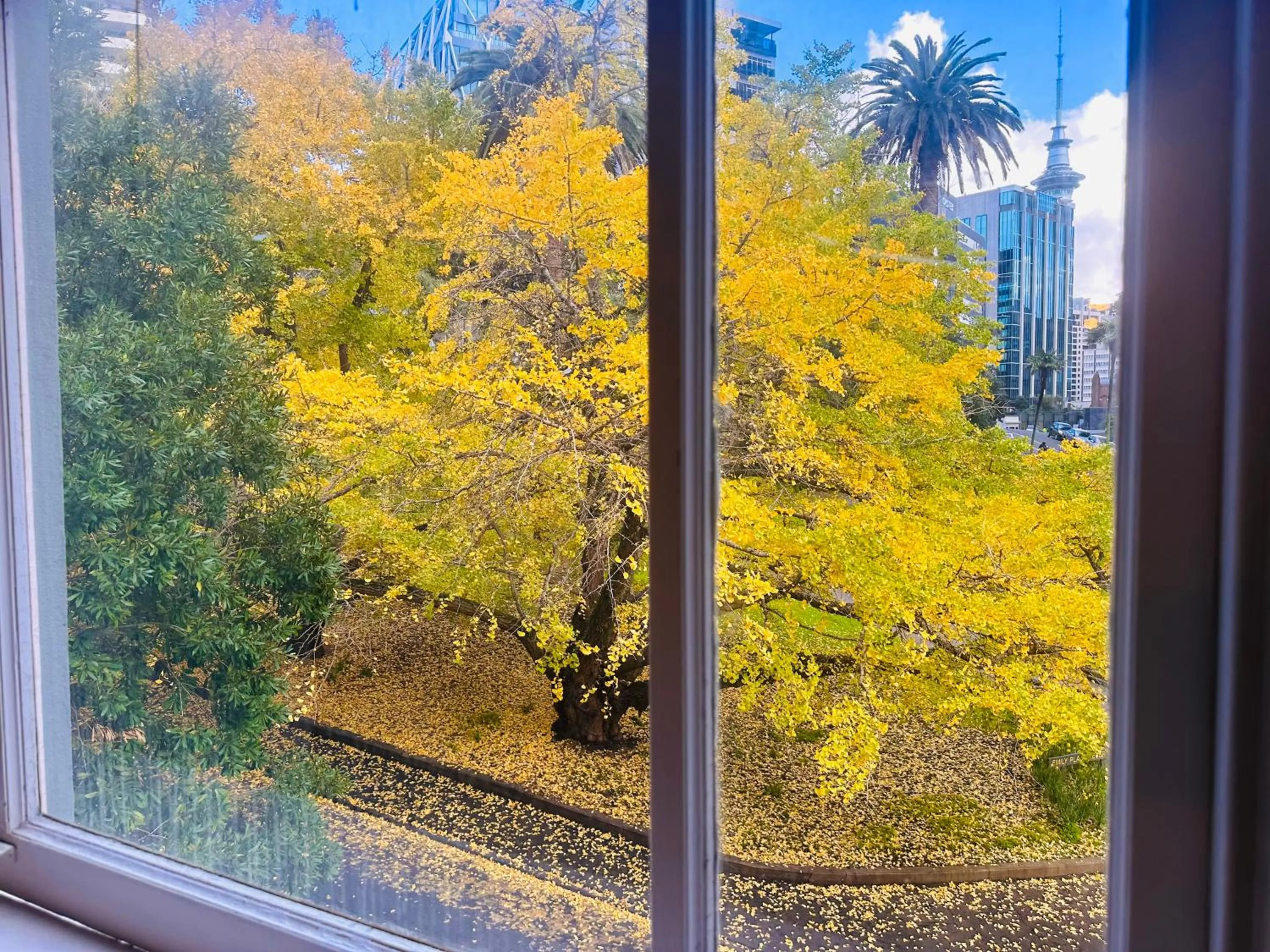 City view in Gamma Hotel