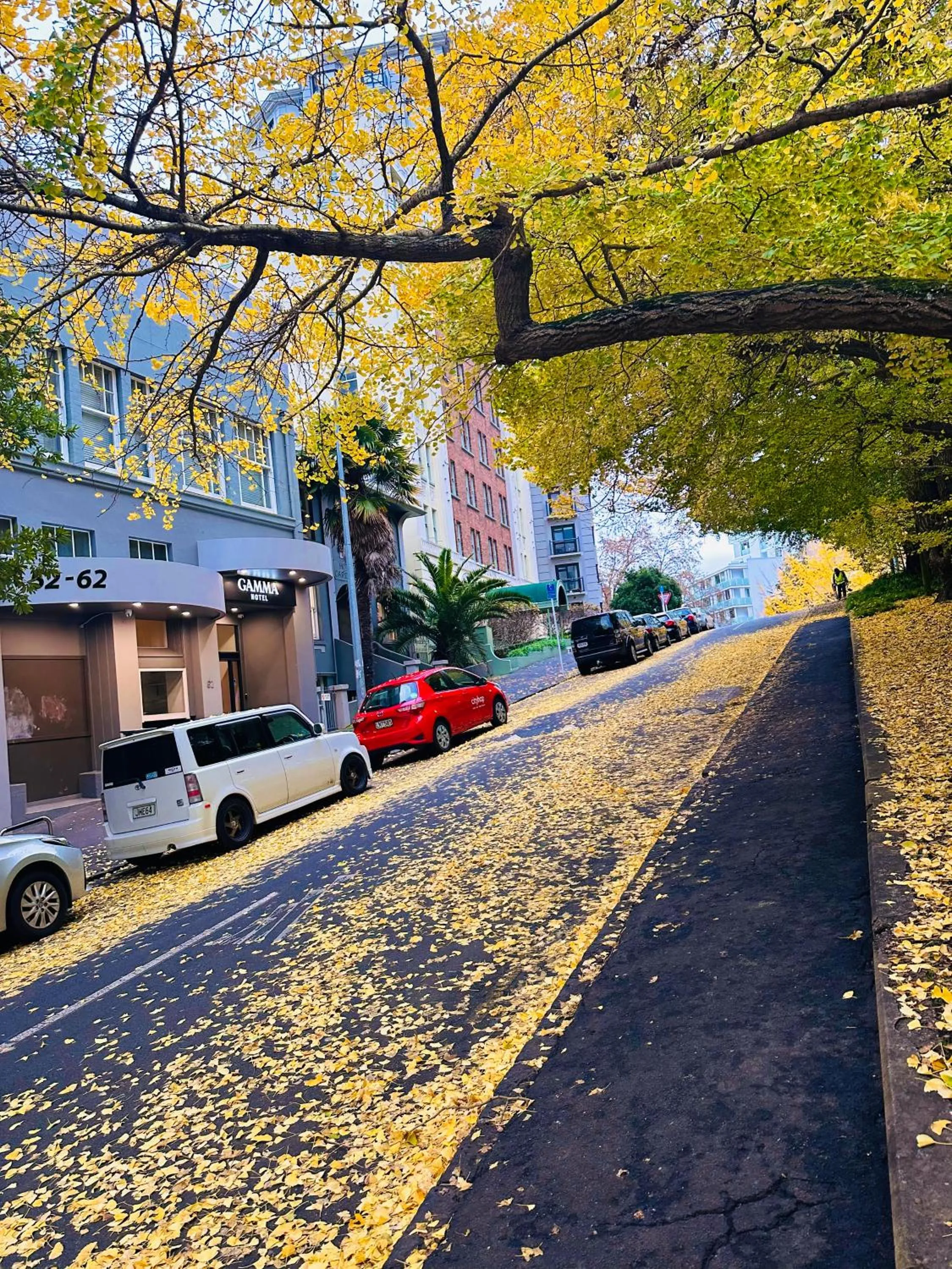 Property building in Gamma Hotel