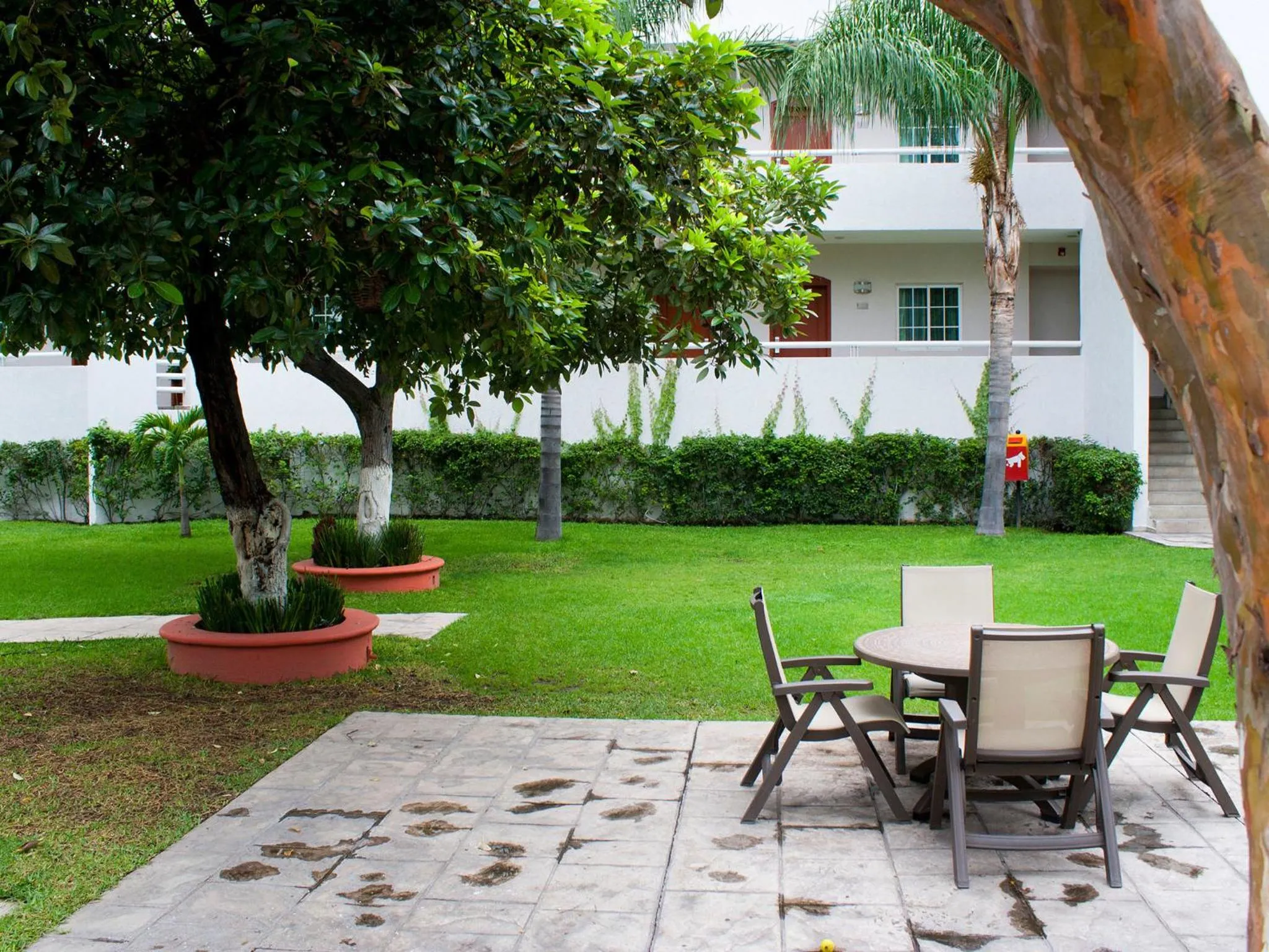 Garden in Áurea Hotel and Suites