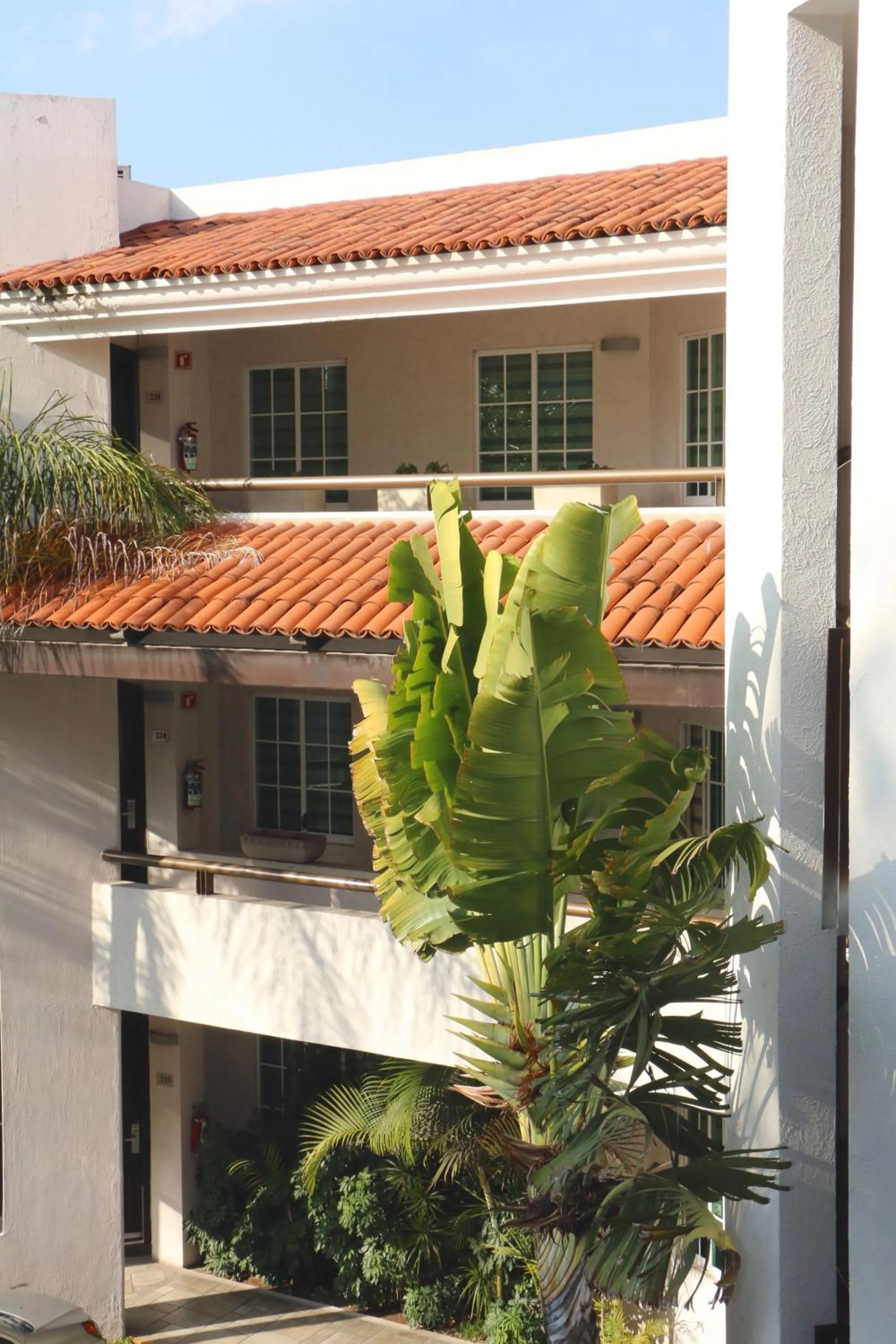 Decorative detail in Áurea Hotel and Suites