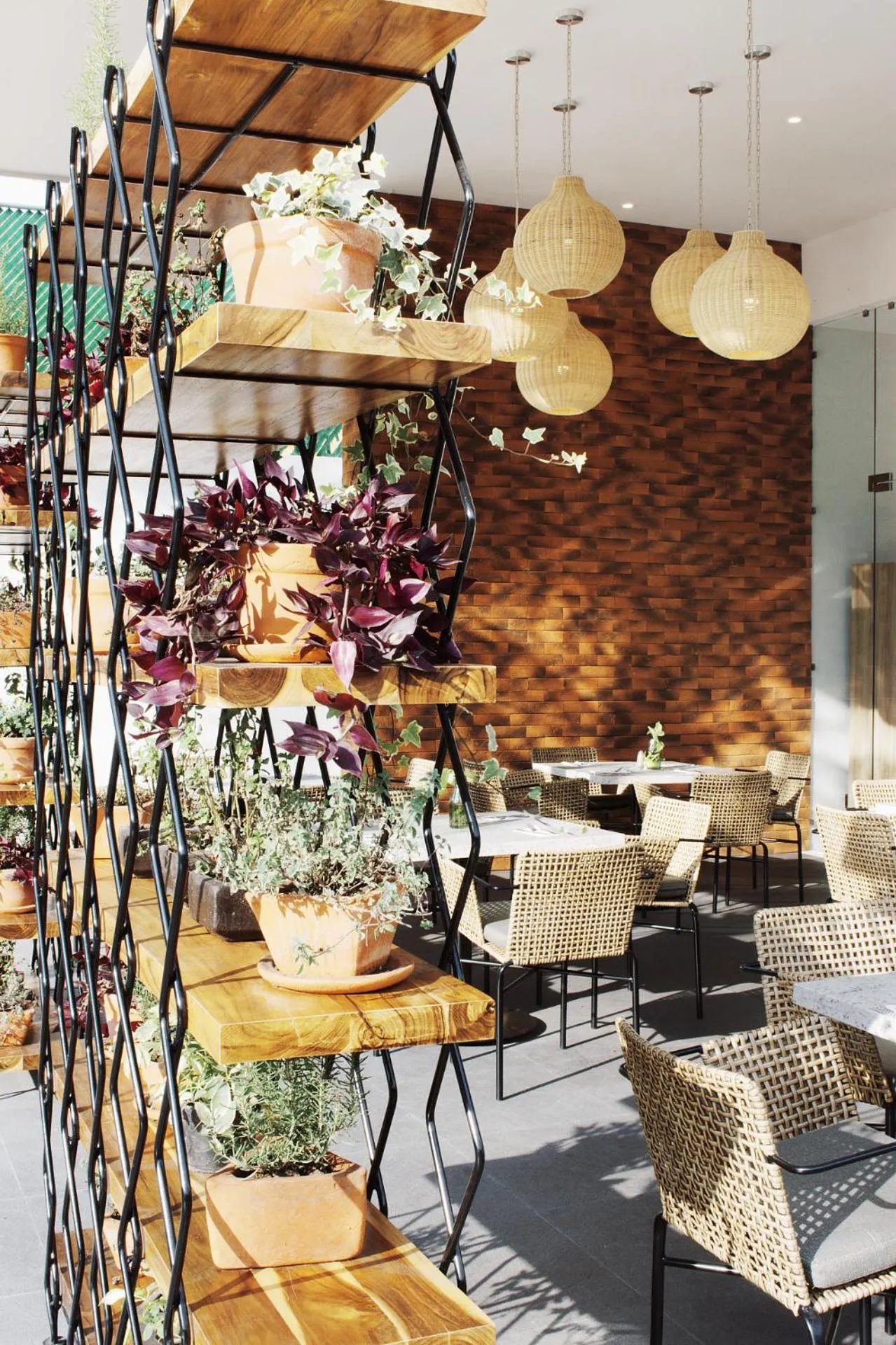 Restaurant/places to eat in Áurea Hotel and Suites