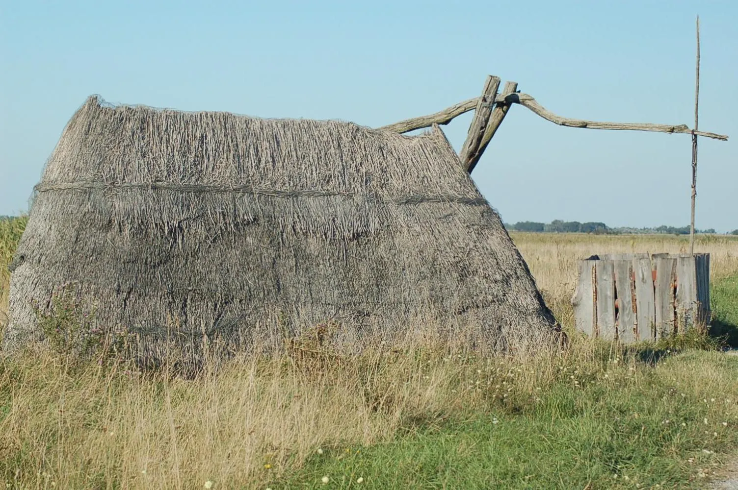 Natural landscape in Pannonia Tower