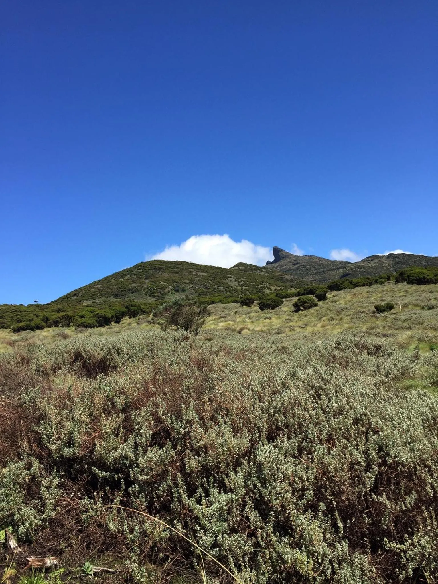 Natural landscape in Bubbles Lodge Kinangop
