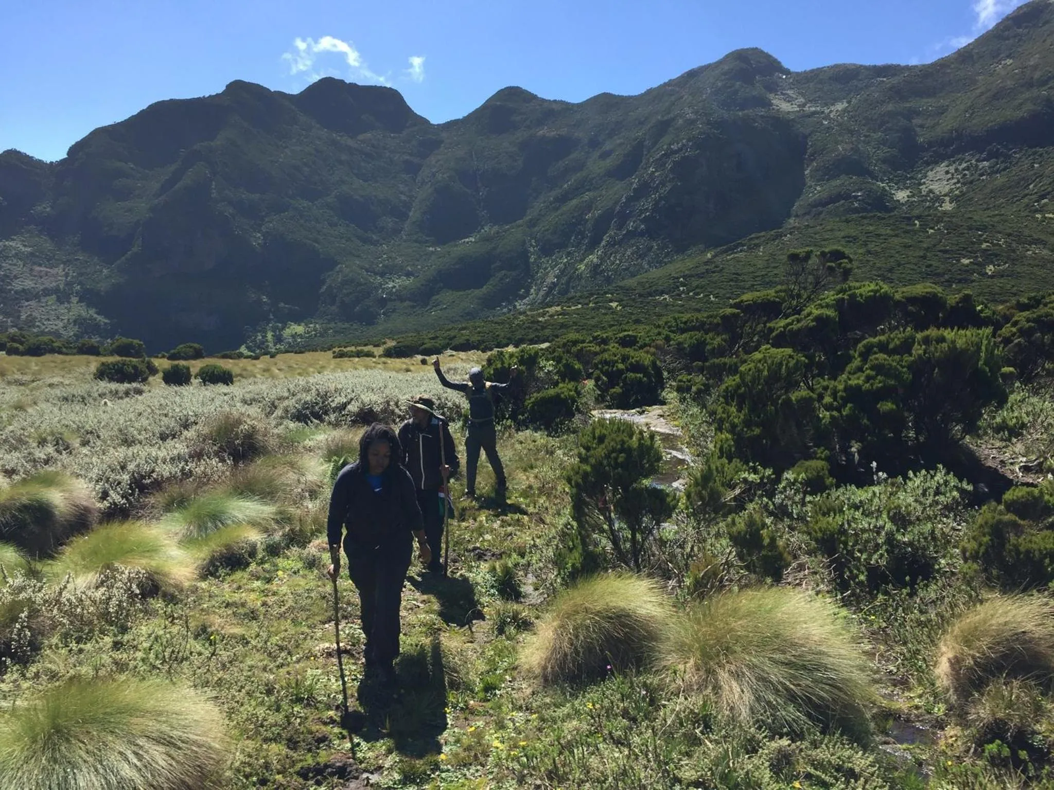 Natural landscape in Bubbles Lodge Kinangop
