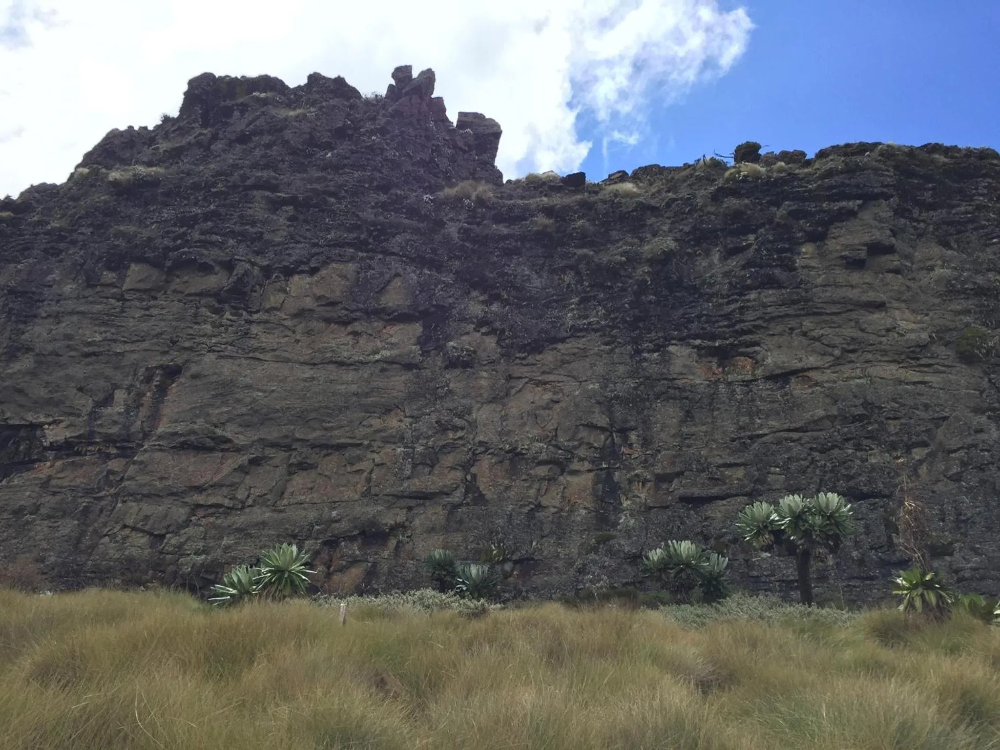 Natural landscape in Bubbles Lodge Kinangop