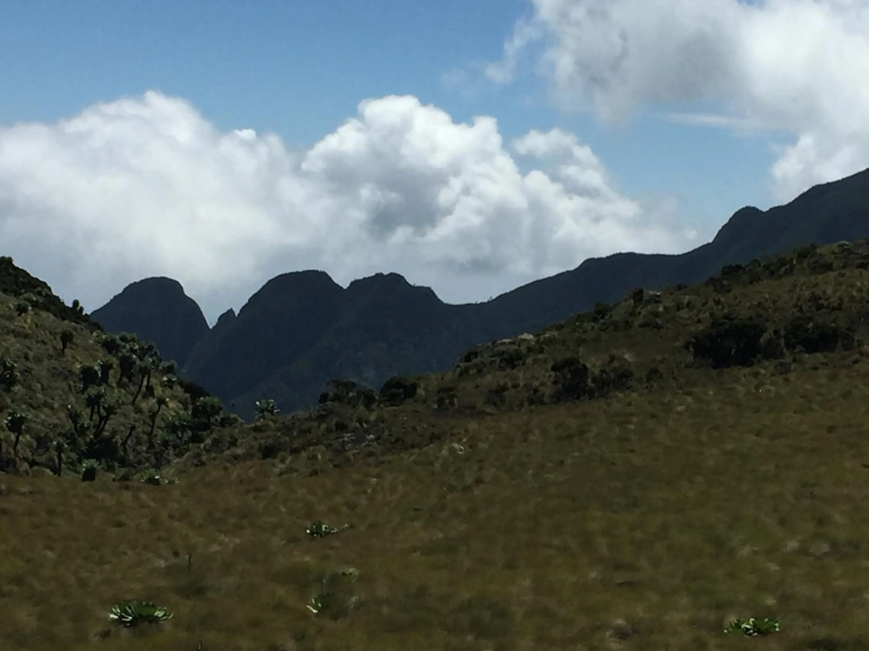 Natural landscape in Bubbles Lodge Kinangop
