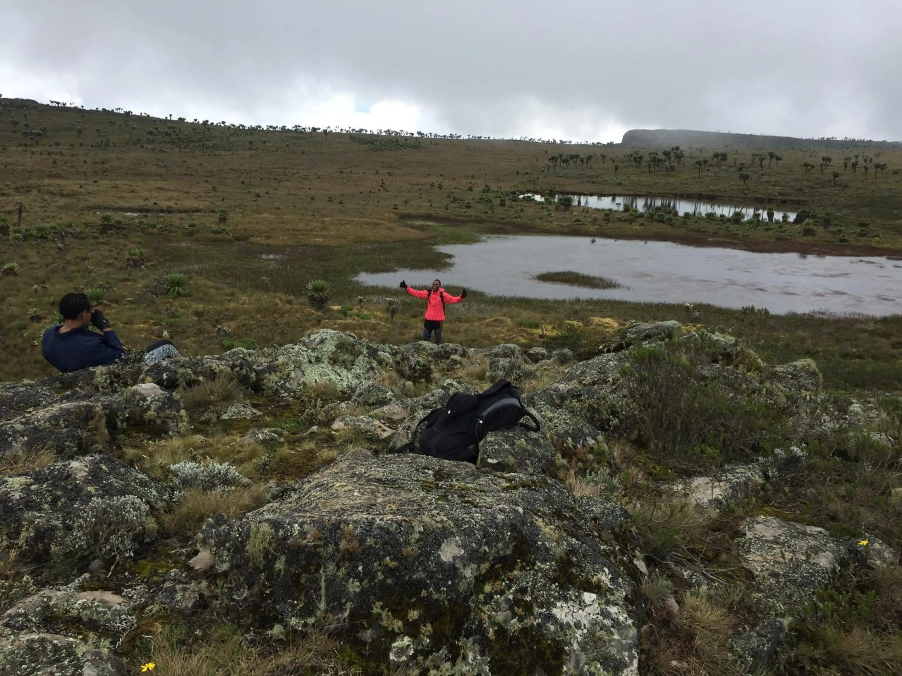Natural landscape in Bubbles Lodge Kinangop