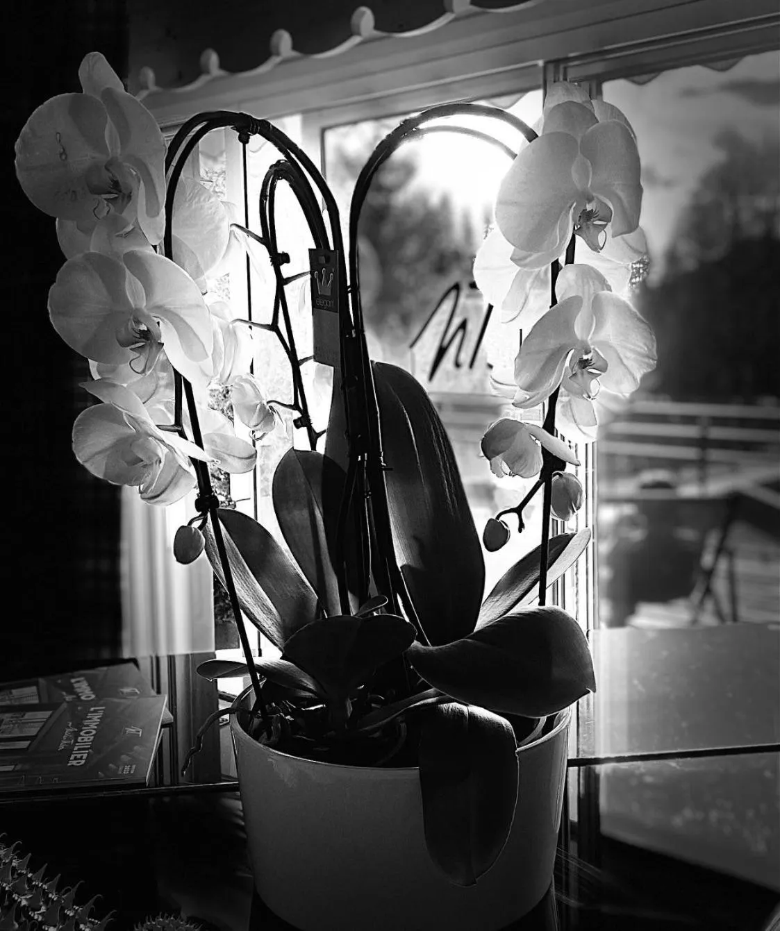 Decorative detail in Chalet-Hôtel Le Labrador, The Originals Relais (Relais du Silence)