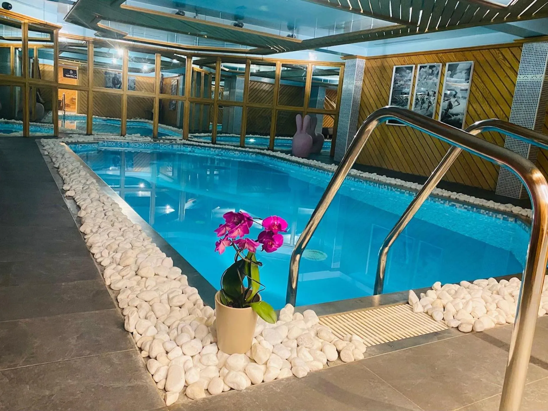 Swimming Pool in Chalet-Hôtel Le Labrador, The Originals Relais (Relais du Silence)