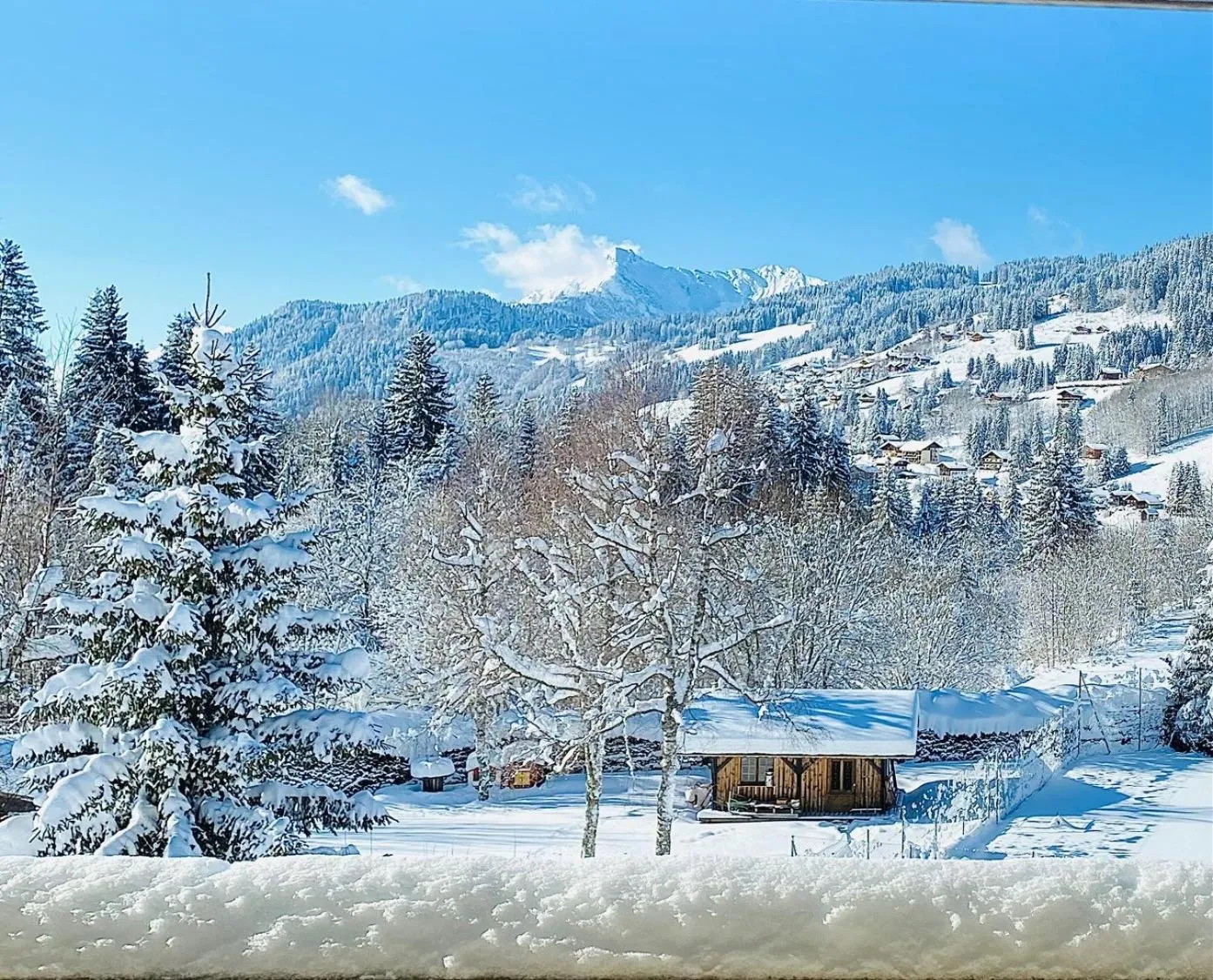 Natural landscape, Winter in Chalet-Hôtel Le Labrador, The Originals Relais (Relais du Silence)