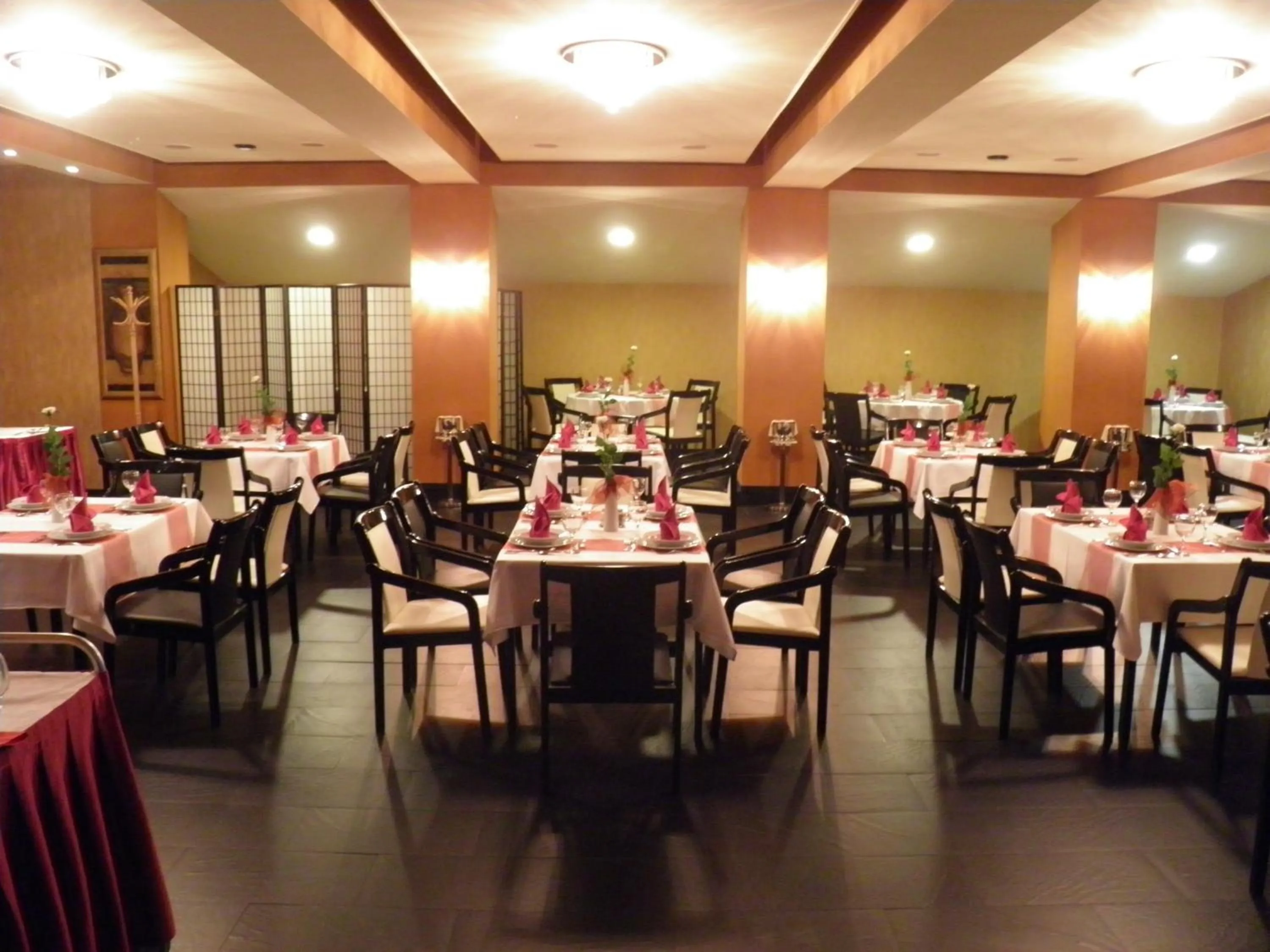 Restaurant/places to eat in Hotel Centrál