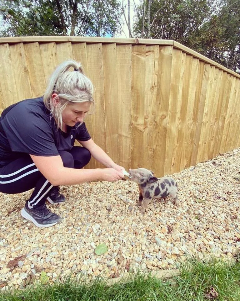 Property building in Cariad