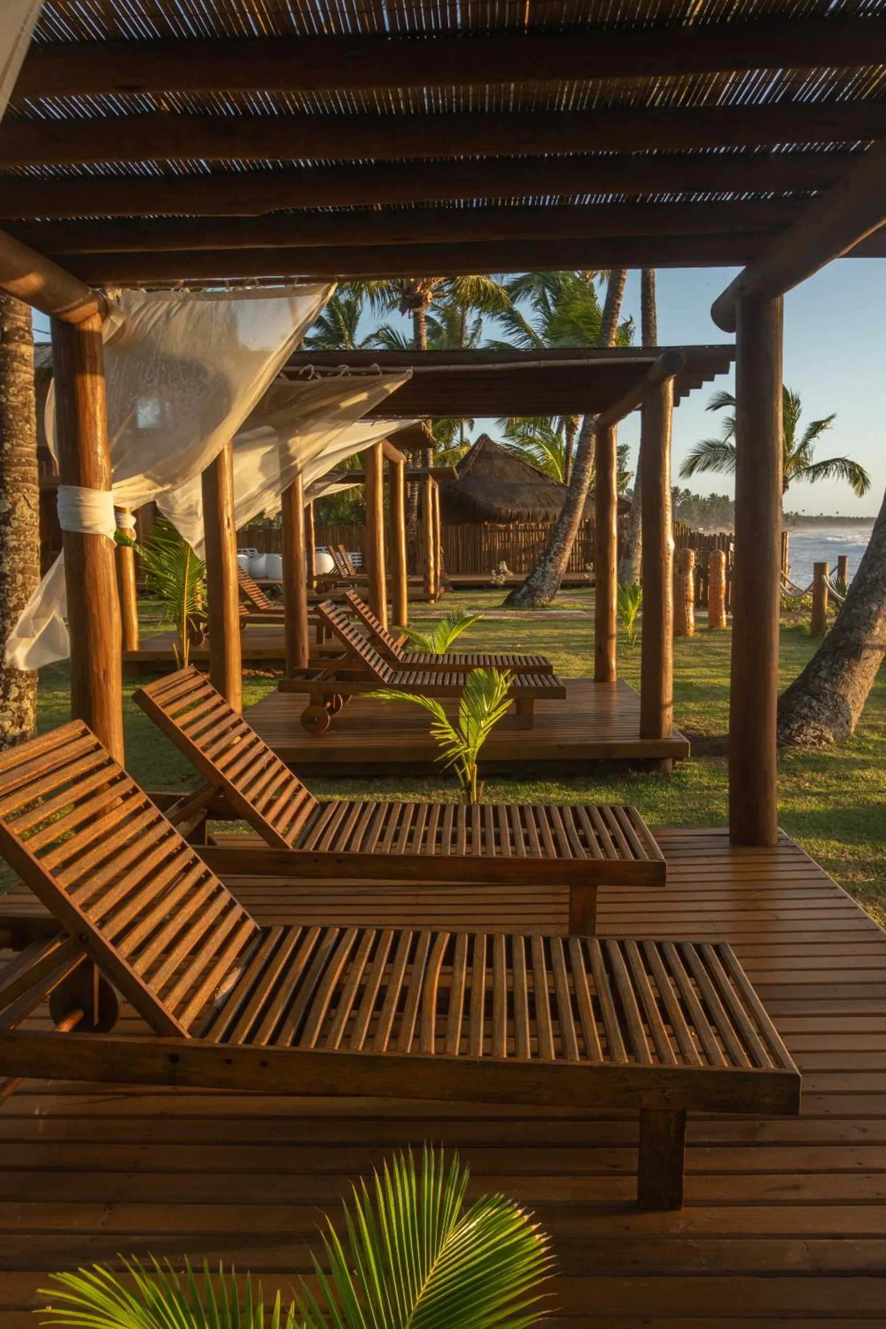 Garden view in MAYIM VILLA