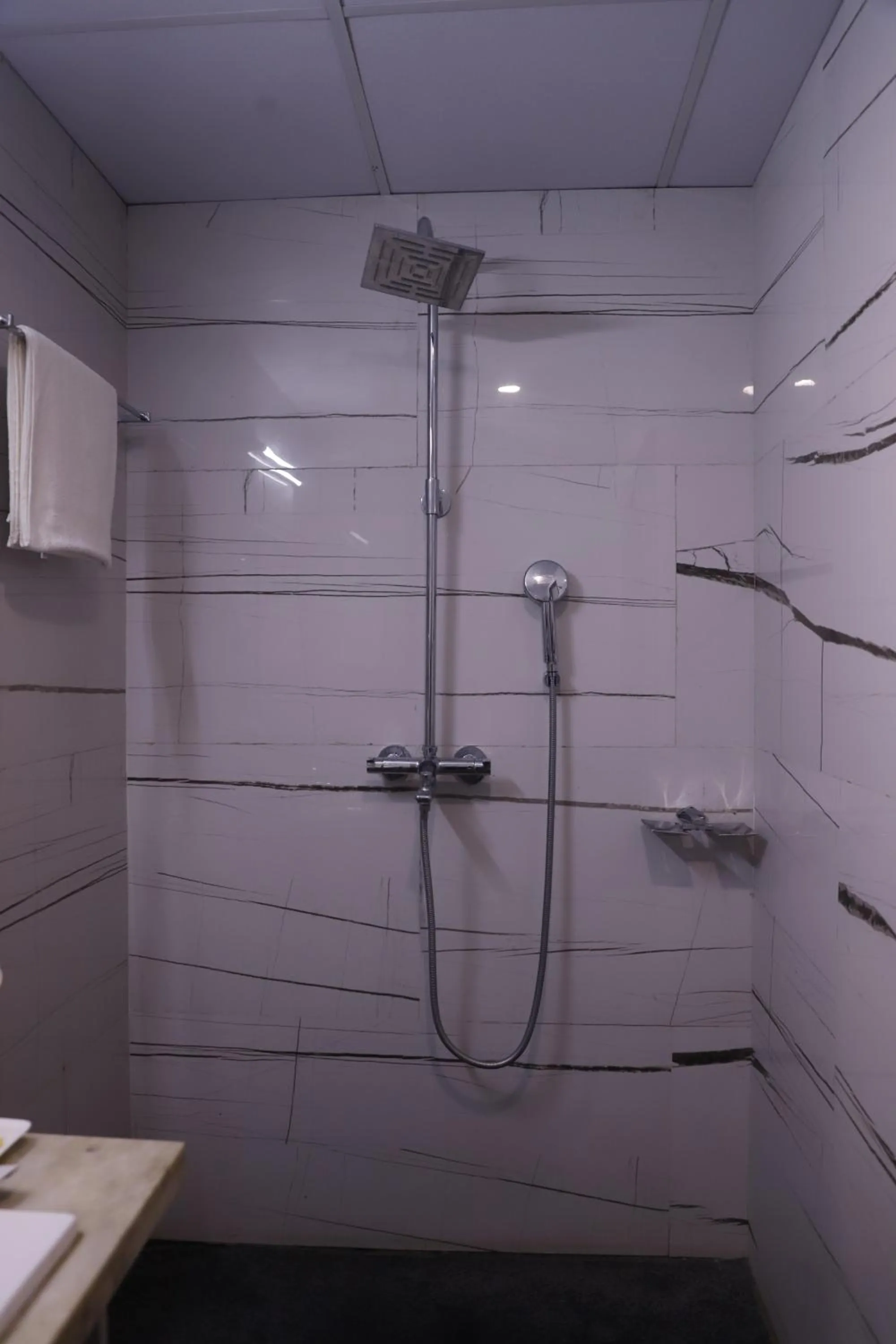 Shower in The Jamun Tree