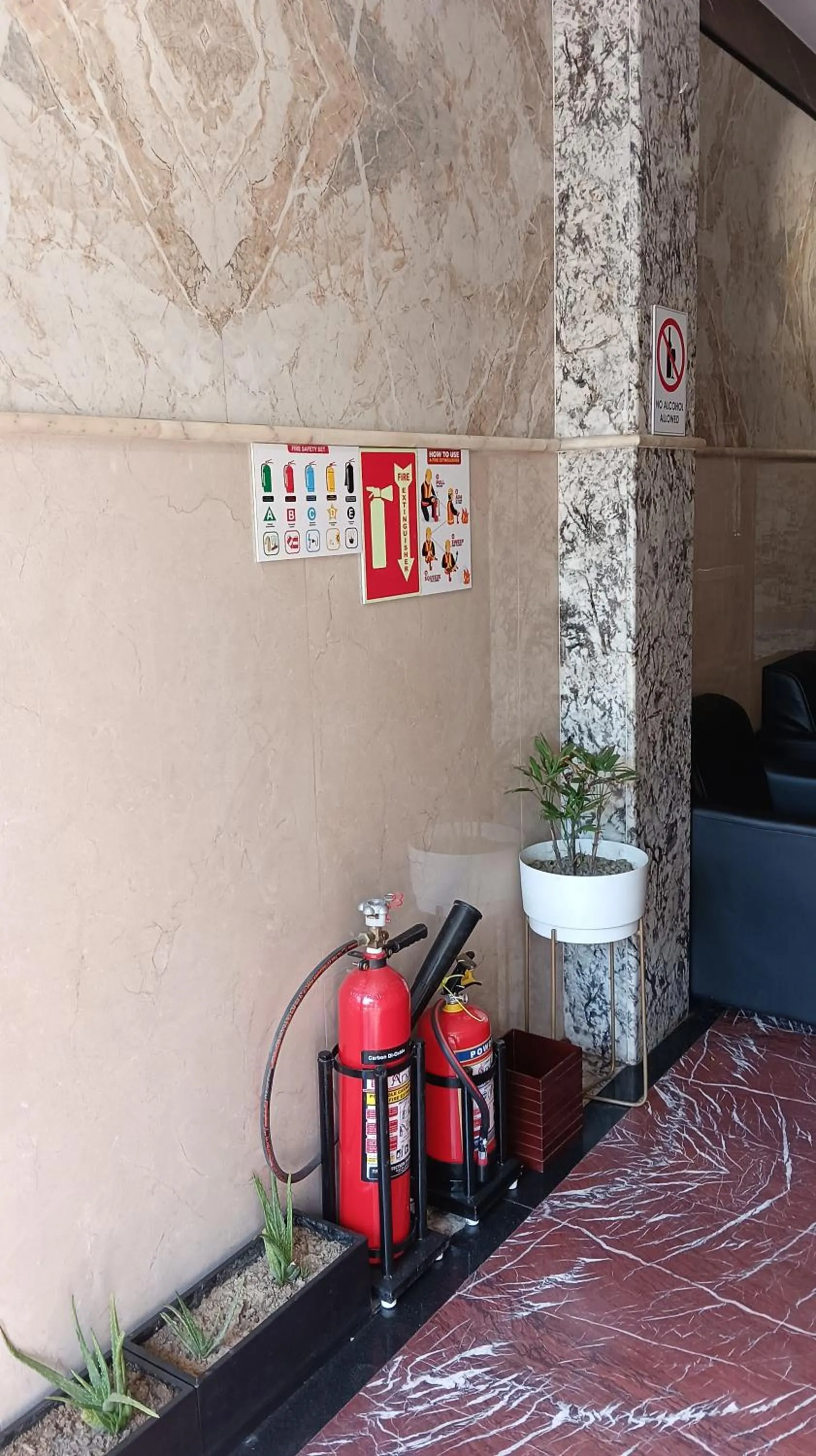 flat iron in The Jamun Tree