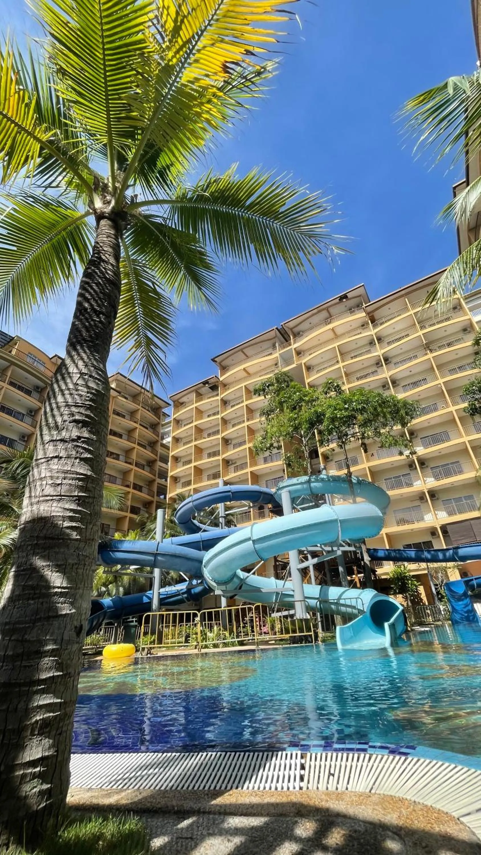 GOLD COAST MORIB @ 3346