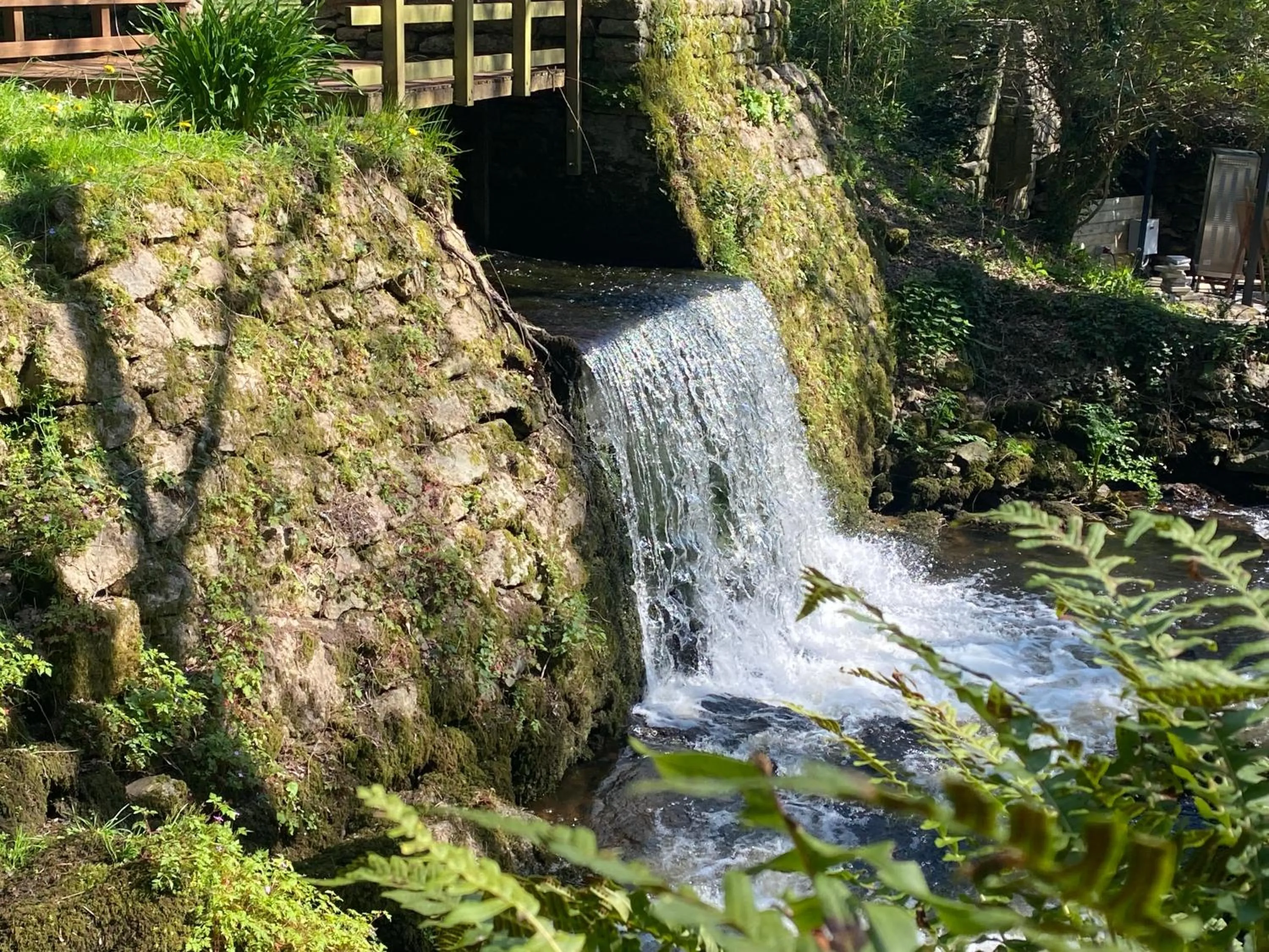Garden in Les Moulins Du Duc ÉCOLODGE