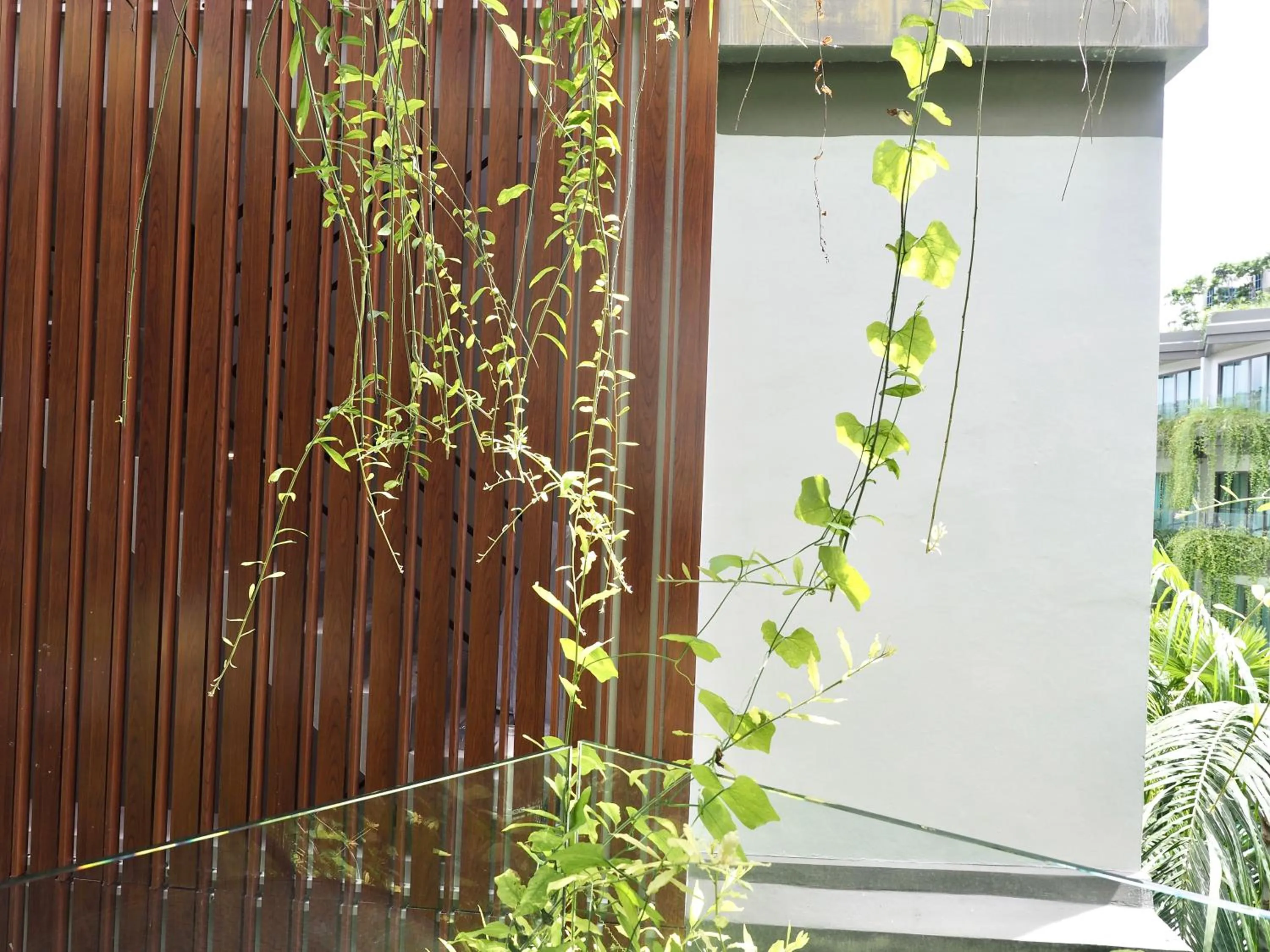 View (from property/room) in Panwaburi Beachfront Resort - SHA Extra Plus